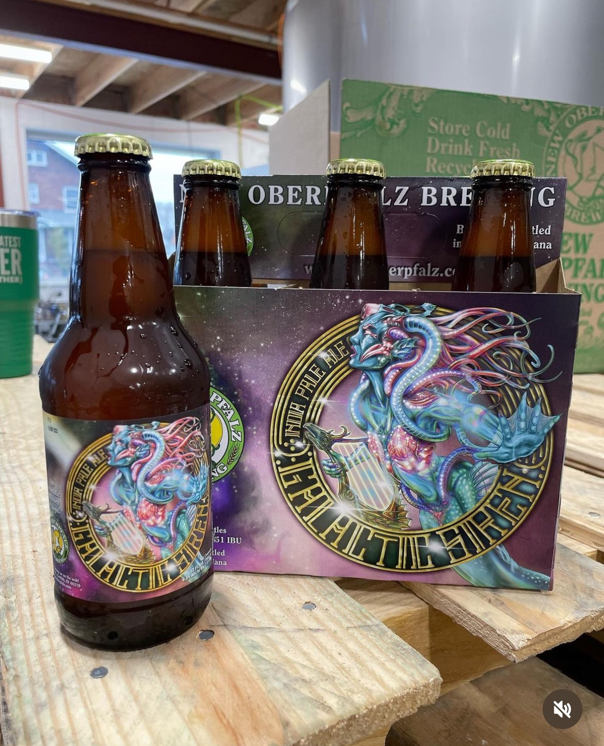 Six pack of bottles of Oberpfalz Brewing's Galactic Siren IPA displaying the illustration I did for them of a bio-mechanical mermaid figure in a flying posture, heading to the left of the frame with her hand and webbed fingers extended out toward the viewer, colored in greens, blues, aqua, and turquoise, with pink and coral accents. A number of mechanical hose or tentacle-like pieces extend from her head and torso flowing behind her into her hair which is made of pink tendrils. She's holding a golden harp with a dragon's head and other scaly details on it. She's emerging through a golden ring that contains the lettering 'Galactic Siren India Pale Ale' running around it. Everything is extremely shiny and sparkly. All this is set against a spacescape of stars and multicolored nebulae.