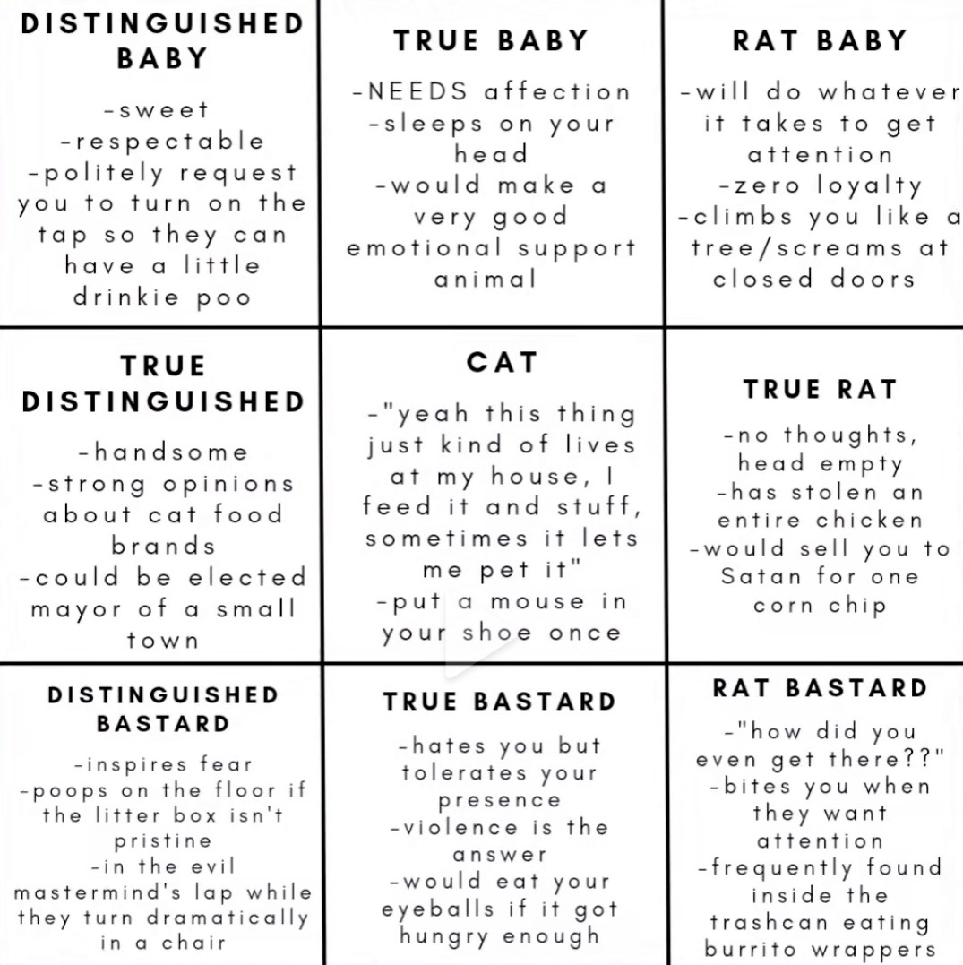 Cat alignment chart...
