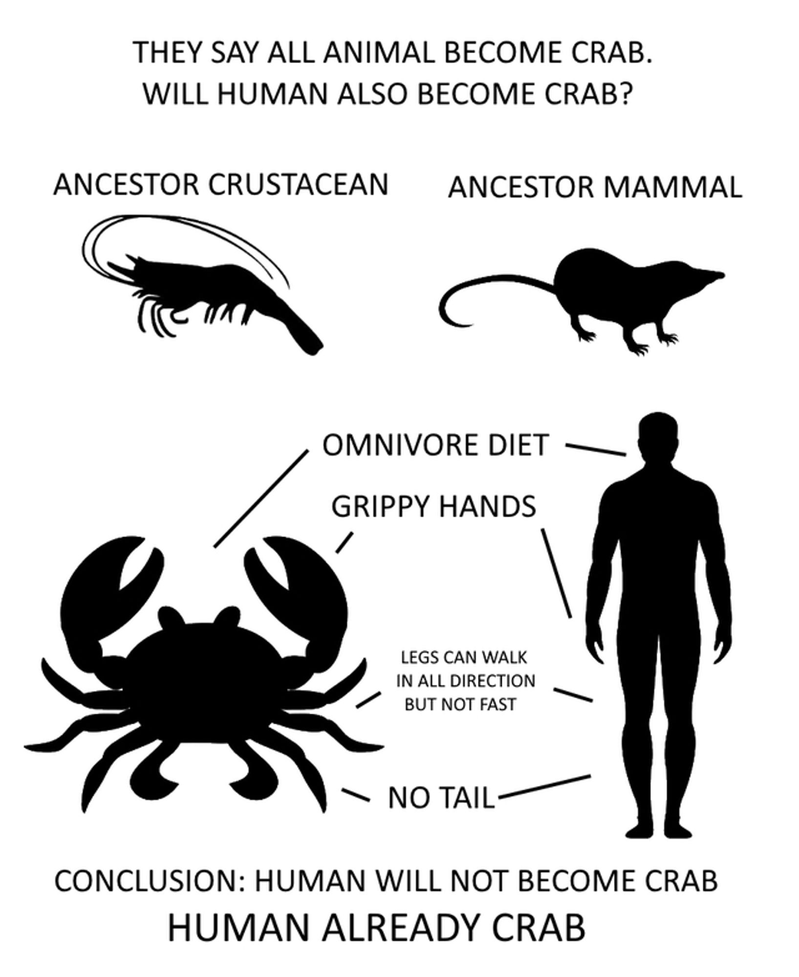 THEY SAY ALL ANIMAL BECOME CRAB.

WILL HUMAN ALSO BECOME CRAB?

ANCESTOR  CRUSTACEAN (showing a silhouette of a lobster/shrimp or something similar from much older)

ANCESTOR MAMMAL(silhouette of a small rat like mammal)


Below are silhouette of crab (on left) and human and making note of following features that are common

OMNIVORE DIET

GRIPPY HANDS

LEGS CAN WALK IN ALL DIRECTION BUT NOT FAST

NO TAIL

CONCLUSION: HUMAN WILL NOT BECOME CRAB HUMAN ALREADY CRAB