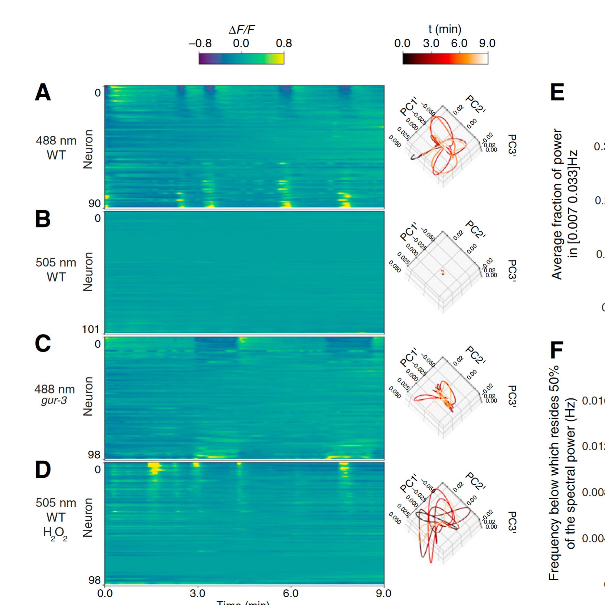 Fig 1 form Gauthey et al., Current Bio 2024