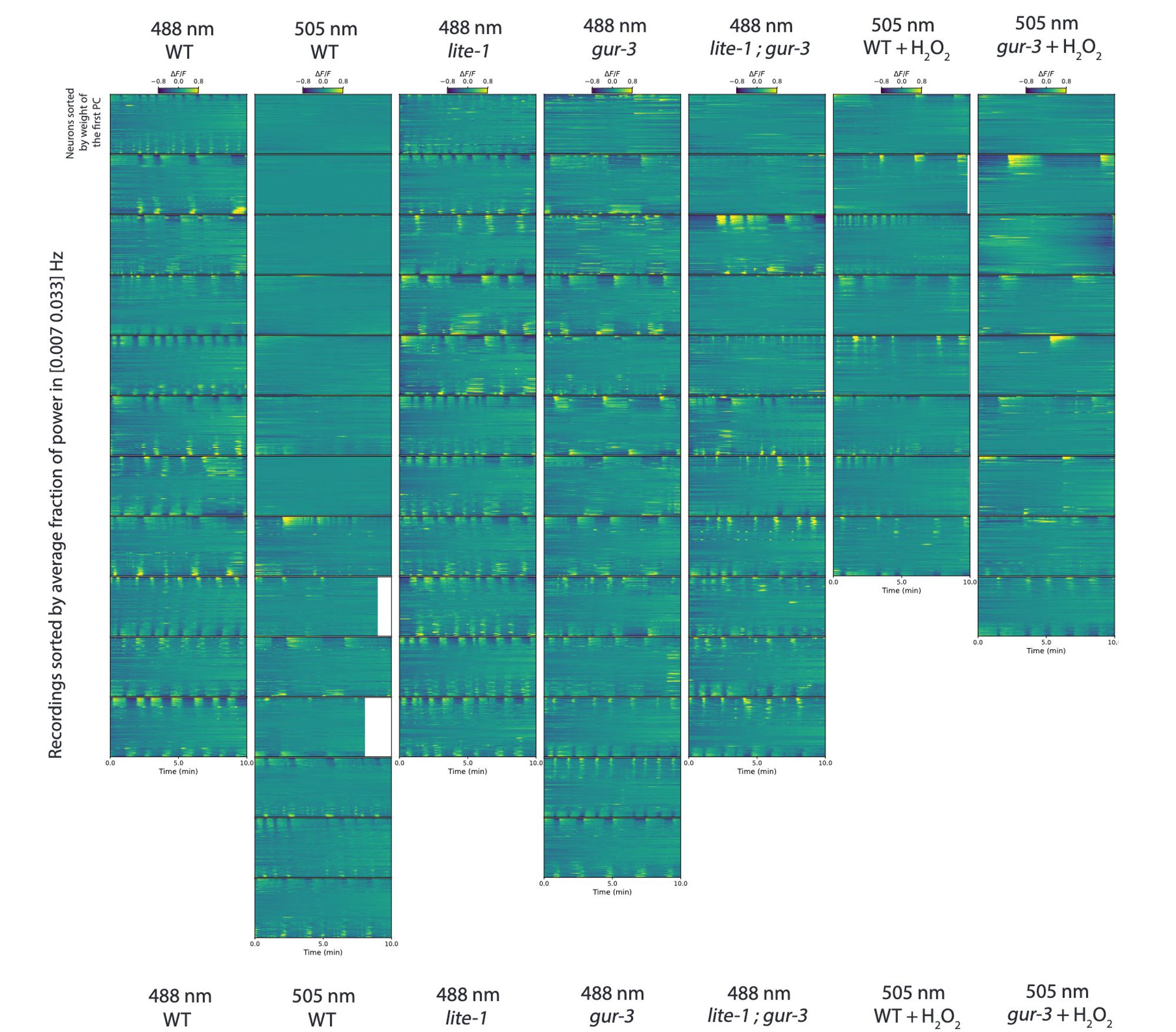 Supp Fig 1 from Gauthey et al., Curr Bio 2024