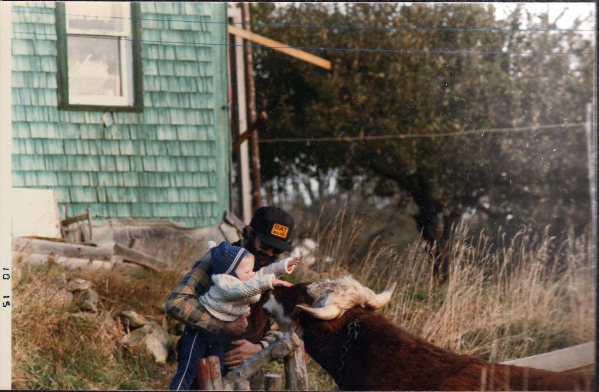 My dad holding me as a baby to meet a red cow with horns. My dad is wearing a CAT (tractors) ballcap, and I am wearing a blue beanie.