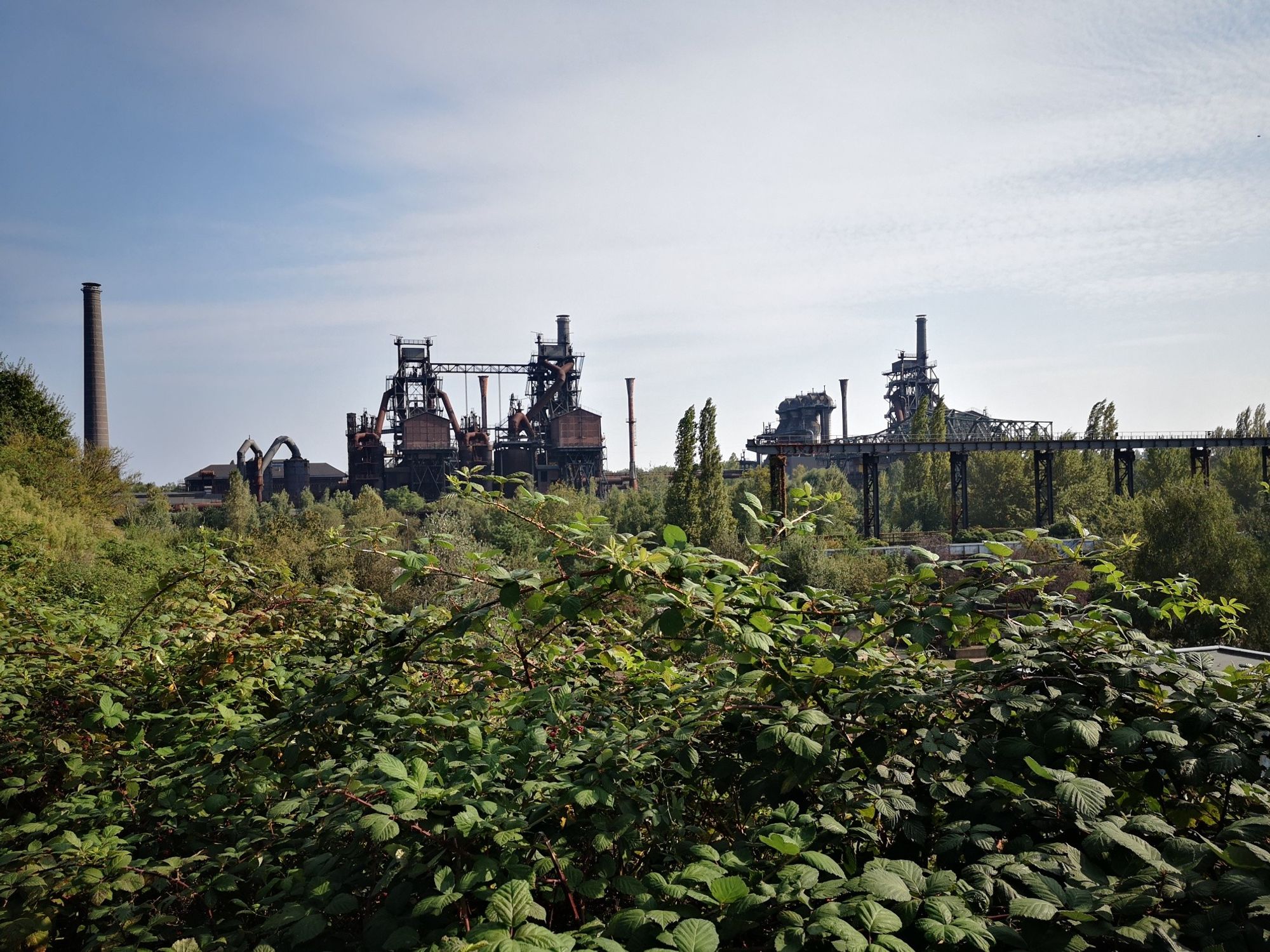 Green plants, behind them in the background industrial relicts. Above the blue sky with white clouds.