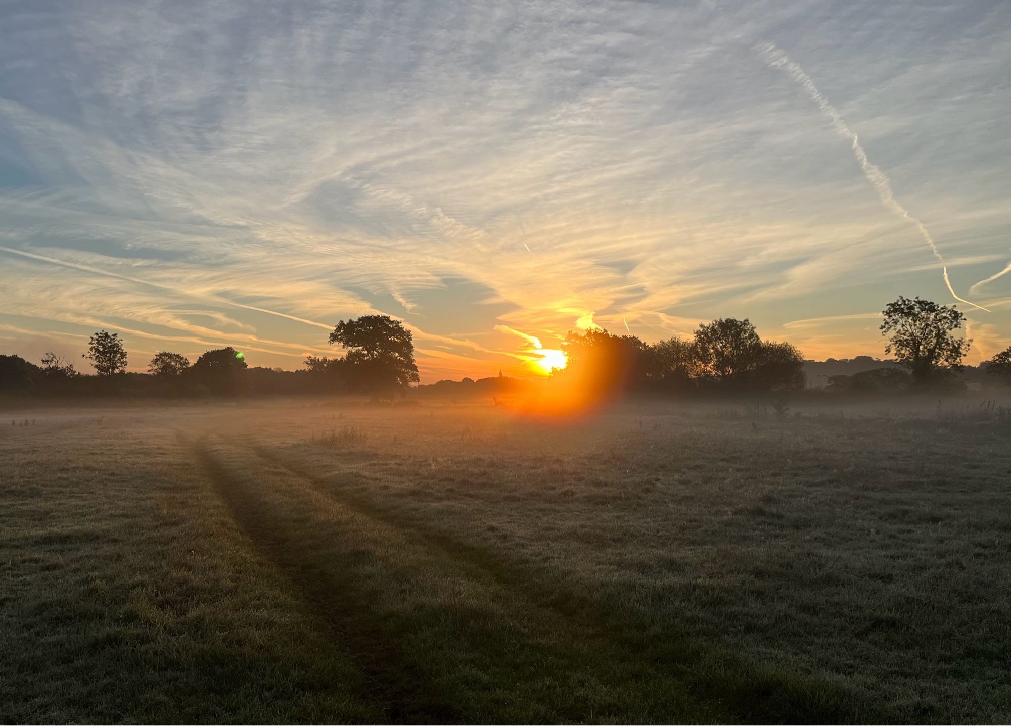 Sunrise, Haysden, Kent.