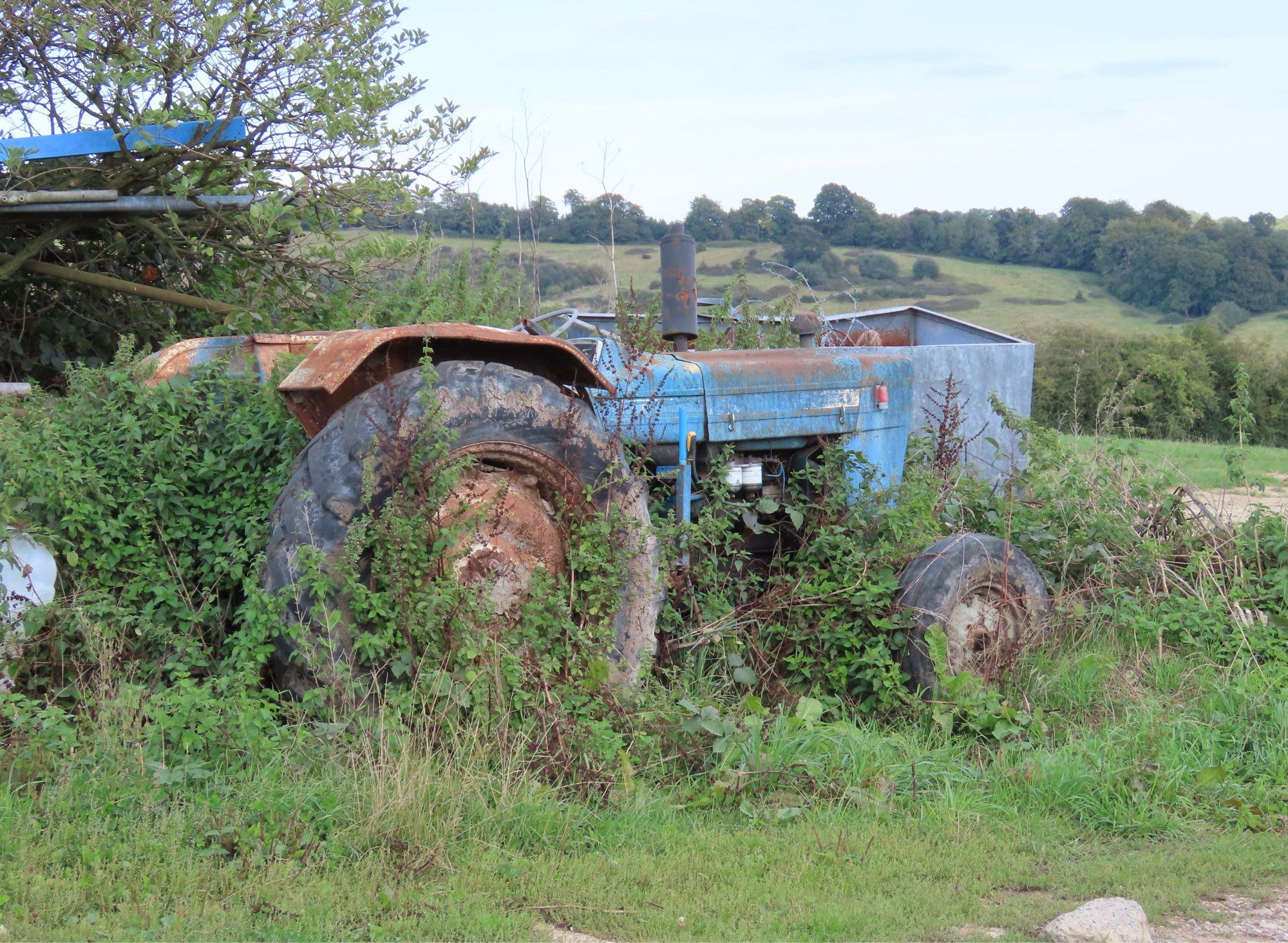 Tractor (three wagtails species seen from here).