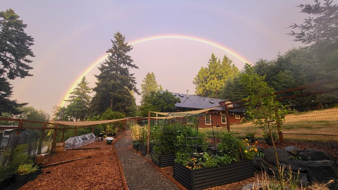The garden, looking toward the house, with a rainbow bridging it.