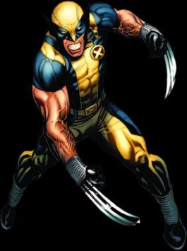 The comic book character Wolverine.