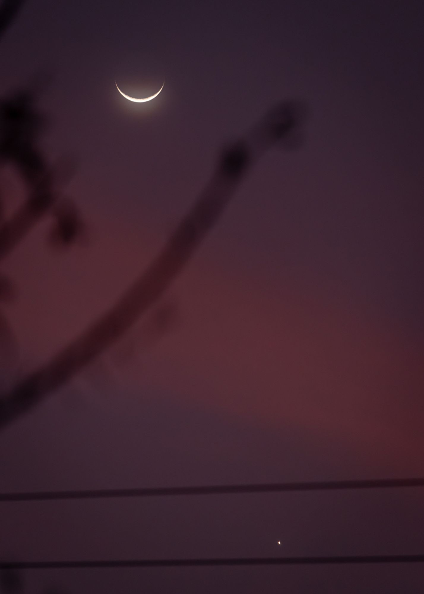 Foto colorida do pôr da Lua e de Vênus, que mostra um céu ao entardecer, com tons avermelhados e silhuetas de galhos e fios elétricos.