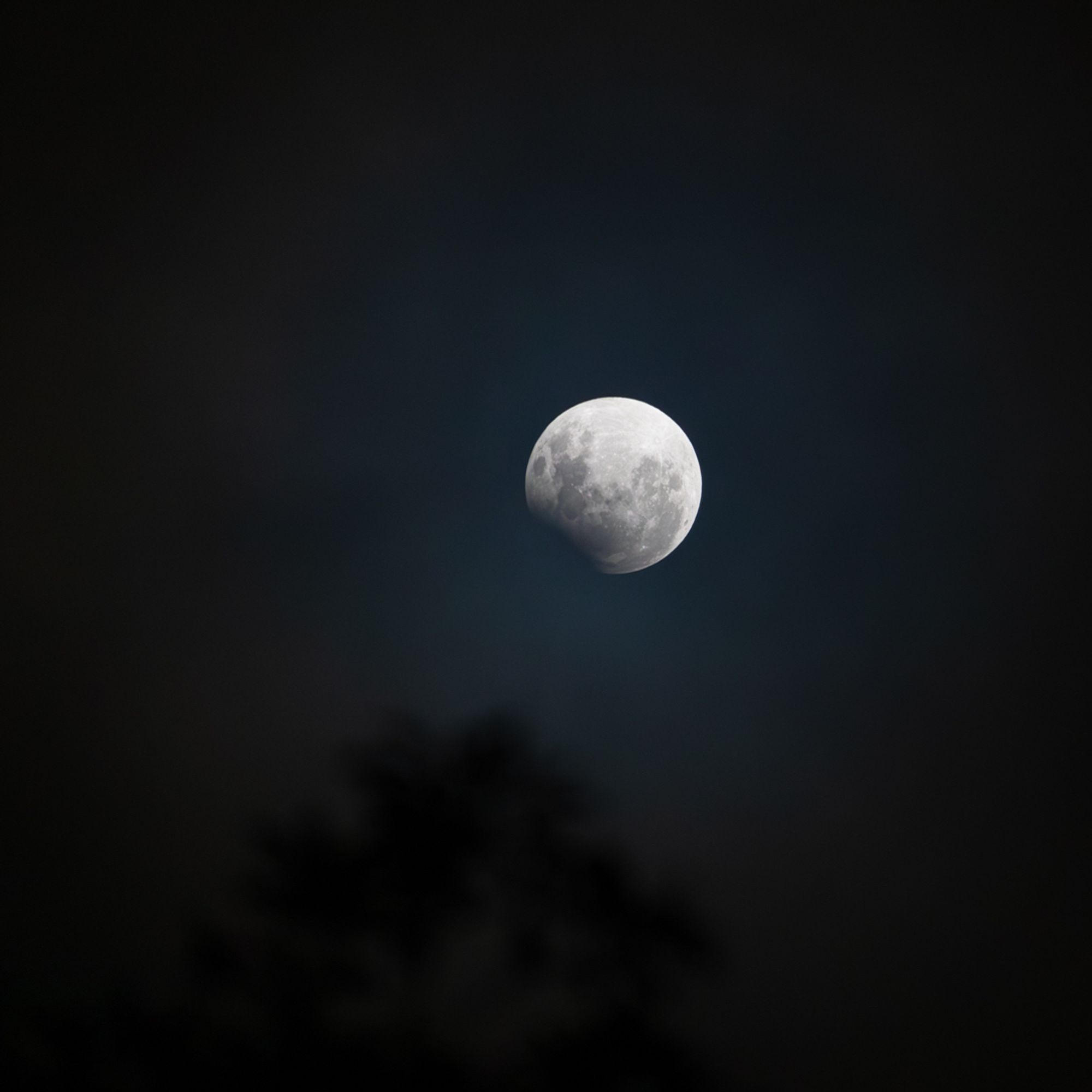 Foto colorida da Lua cheia com a sombra da Terra em sua parte inferior esquerda. Na parte inferior da imagem a silhueta de uma árvore.