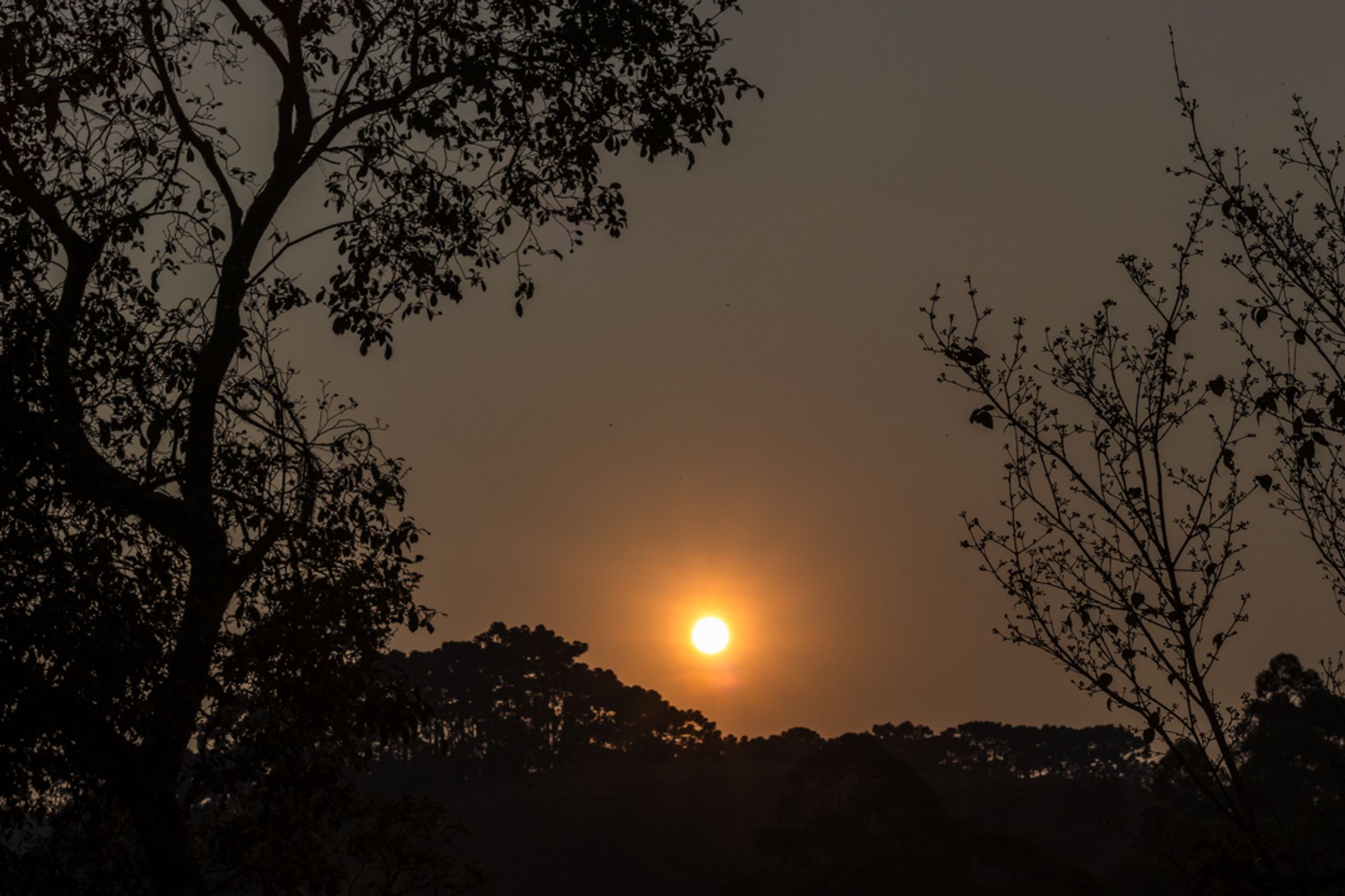 Foto colorida do pôr do sol, que mostra um céu sem nuvens e o sol no centro inferior da imagem encoberto por fumaça. Silhuetas de árvores ao redor da imagem.