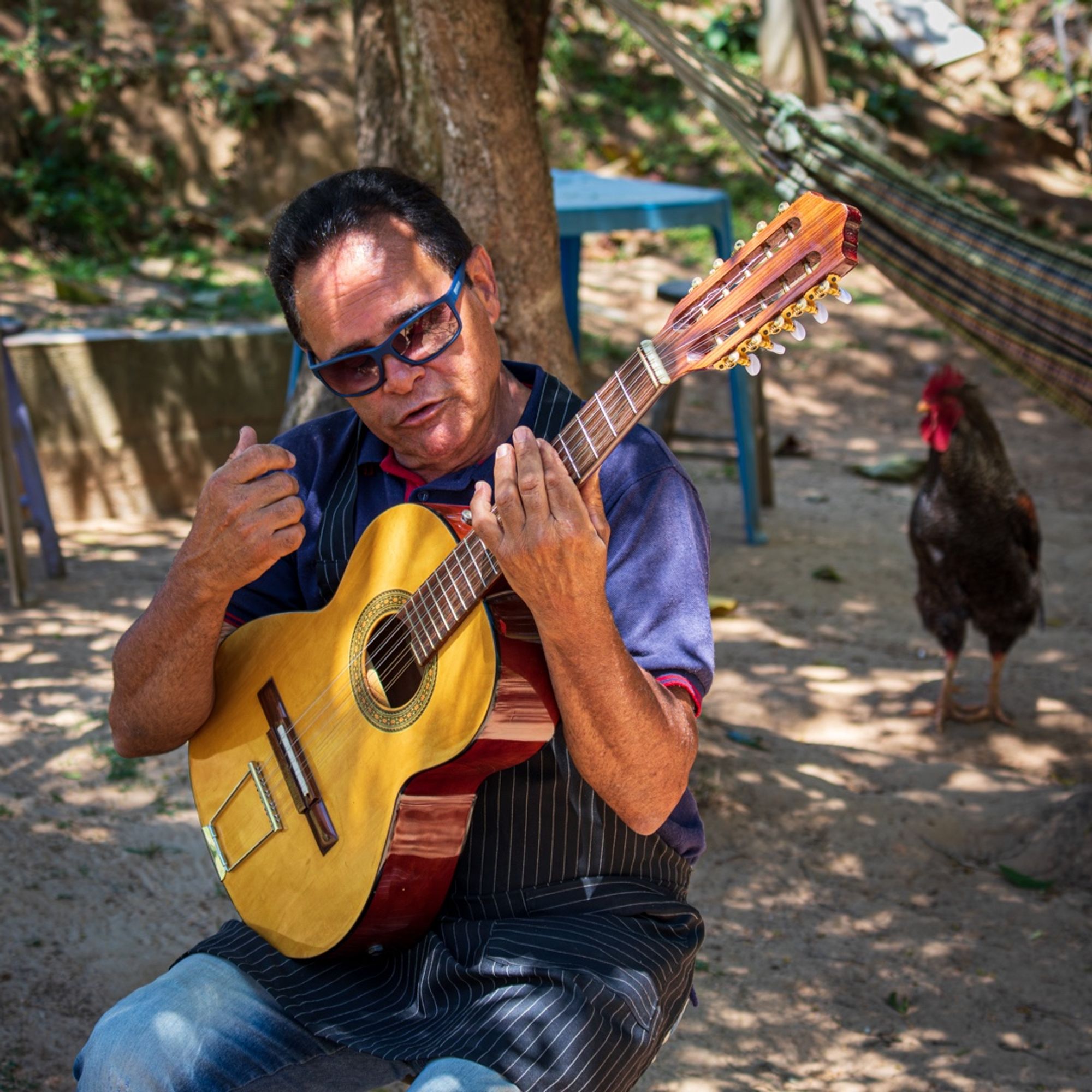 Foto colorida de um homem de pele morena e cabelos escuros tocando uma viola. No fundo, no lado esquerdo, tem um galo.