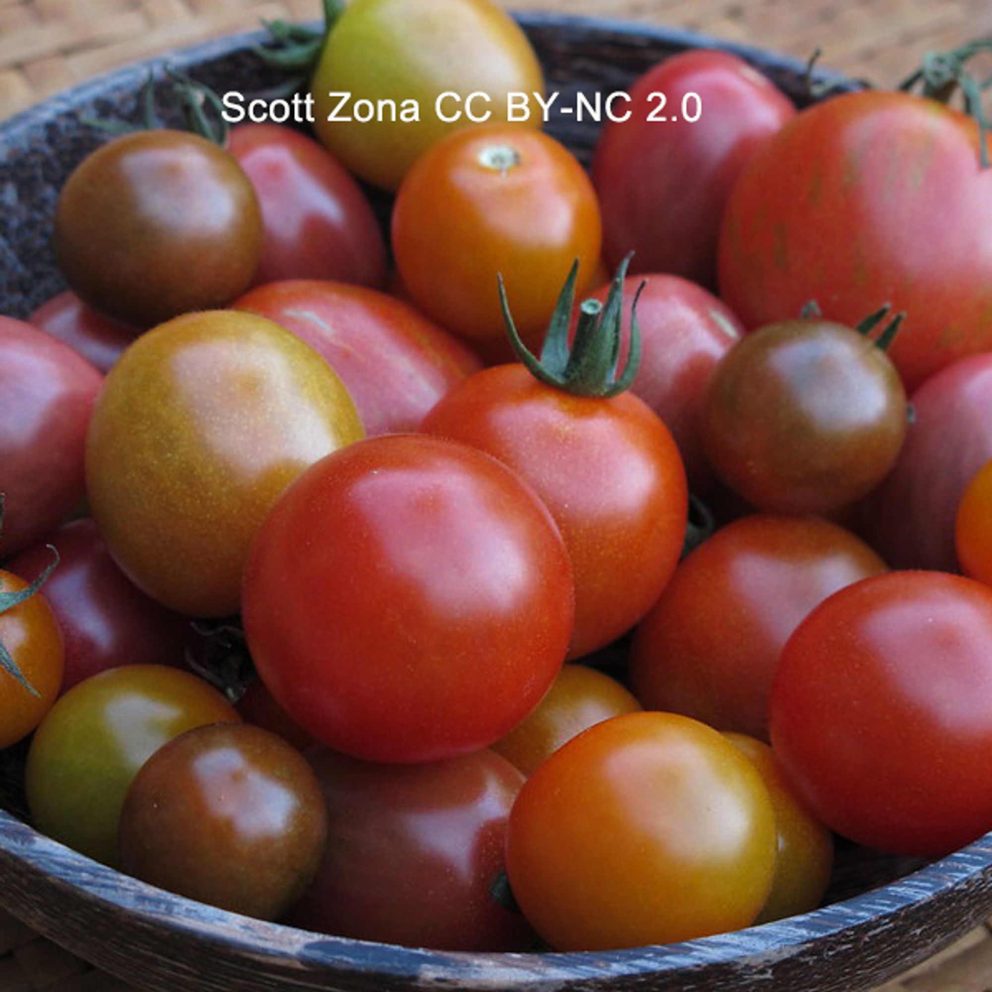 A close-up photo of a bowl of cherry tomatoes of various colors.