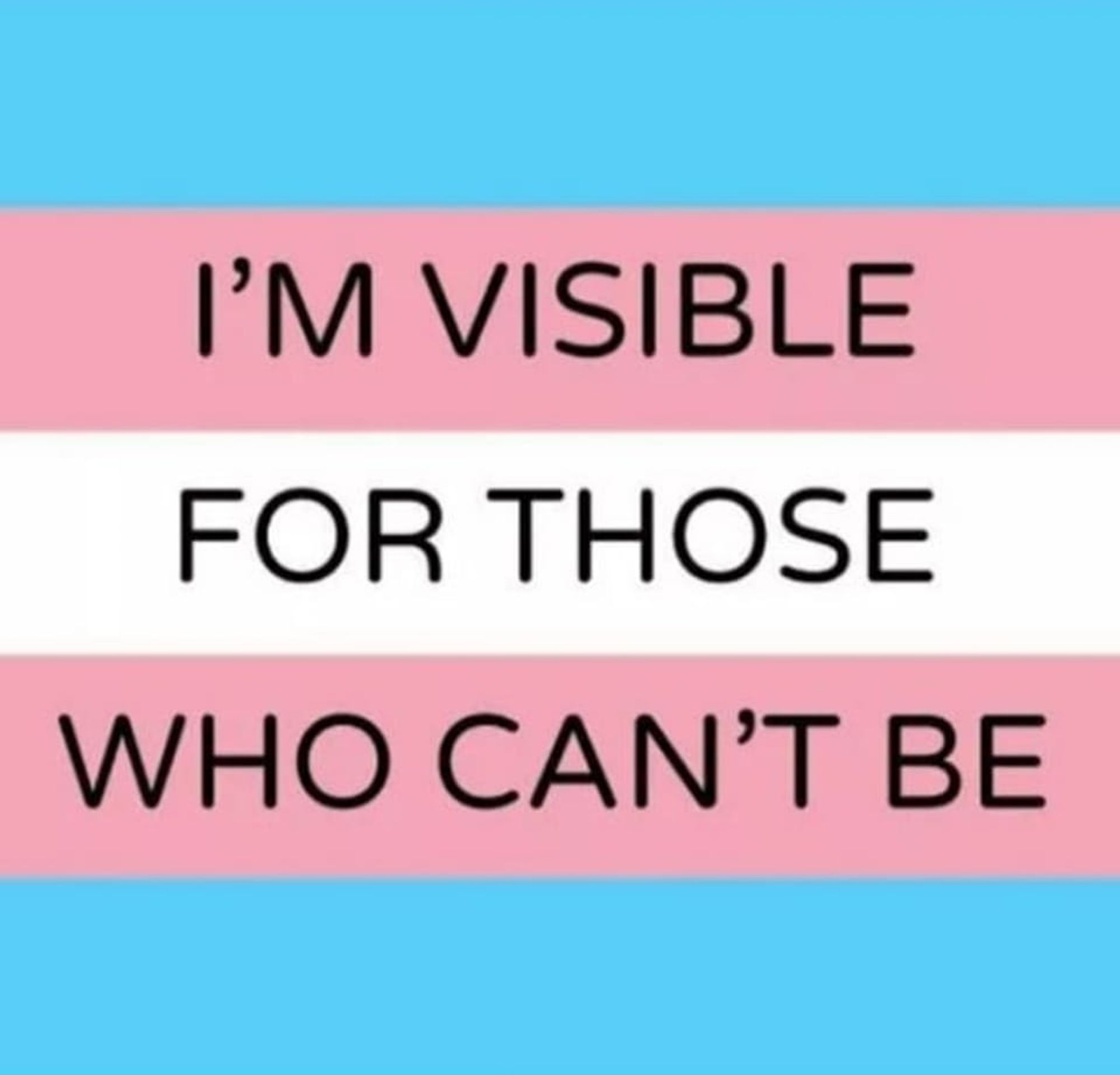 Trans flag background with the words, "I'm visible for those that cannot be"