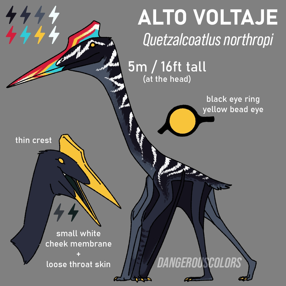 A reference sheet for a Quetzalcoatlus northropi pterosaur. He has bright display coloration on his beak and crest, a dark grey body, and white stripes running down the dorsal side of his neck and back.