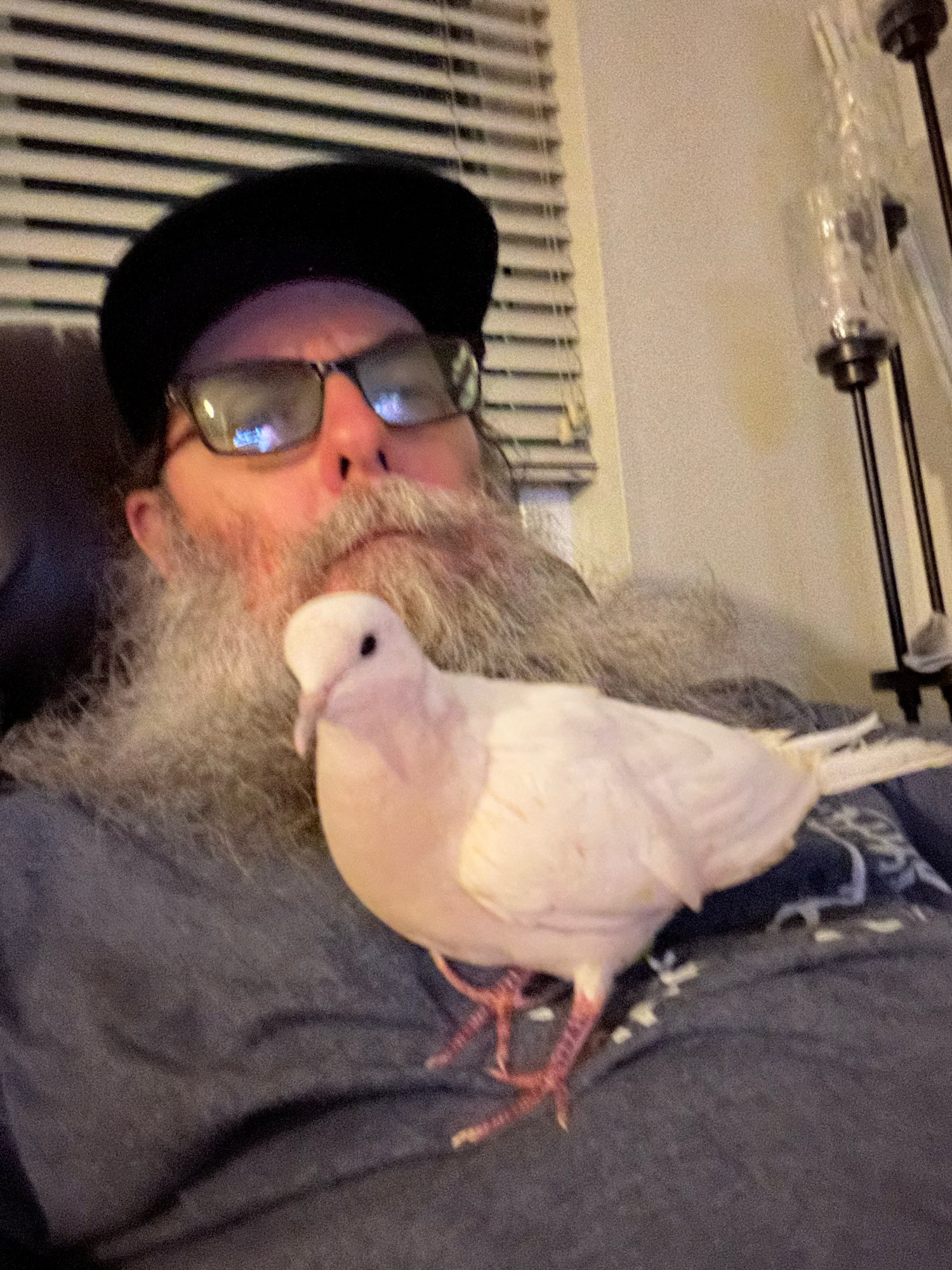 Bearded white man reclining with a white dove on his belly