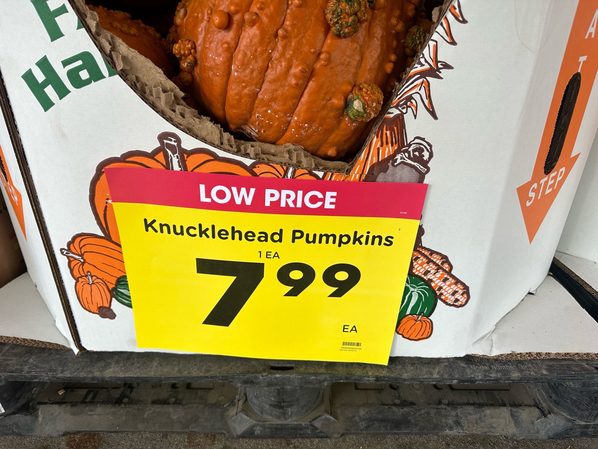 Bin of pumpkins labeled “Knucklehead Pumpkins”