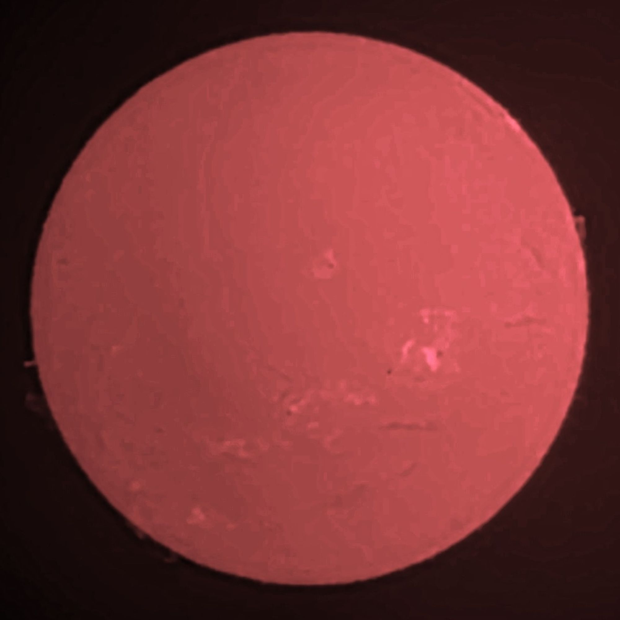 Today's Sun in Hydrogen alpha light.