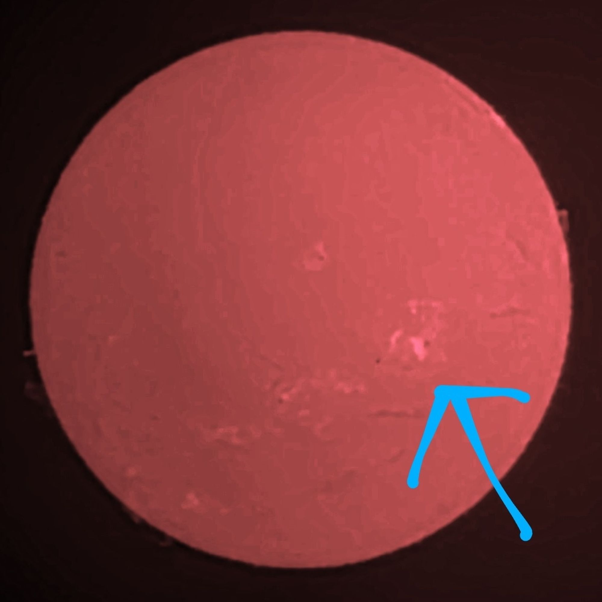 Hydrogen alpha view of the Sun from October 1