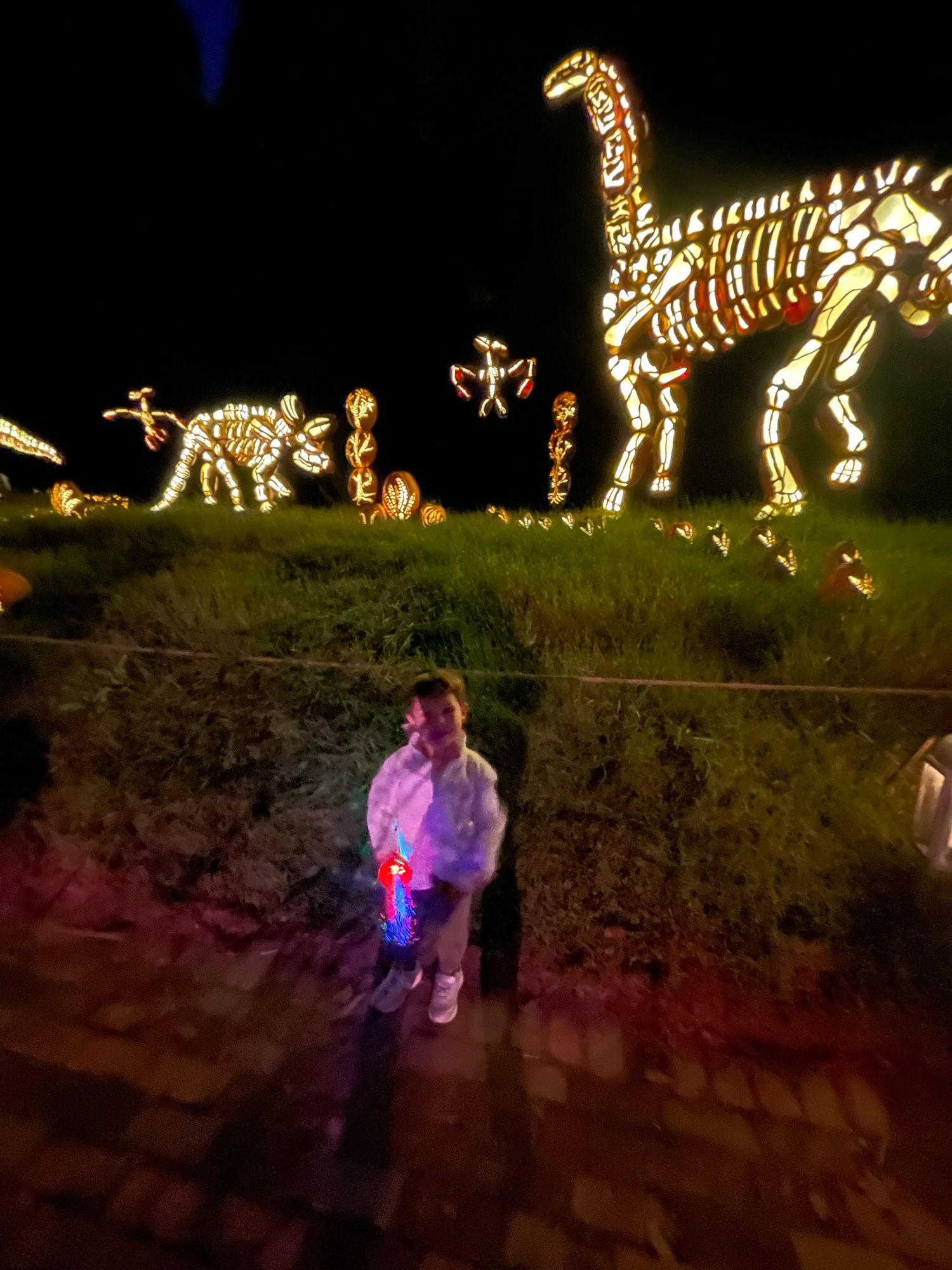 Extremely blurry small child who is ostensibly dressed as a vampire standing in front of 2 pteranodons, a triceratops, and a brachiosaurus (could be an allosaurus who knows) and the dinosaurs are made out of carved pumpkins.