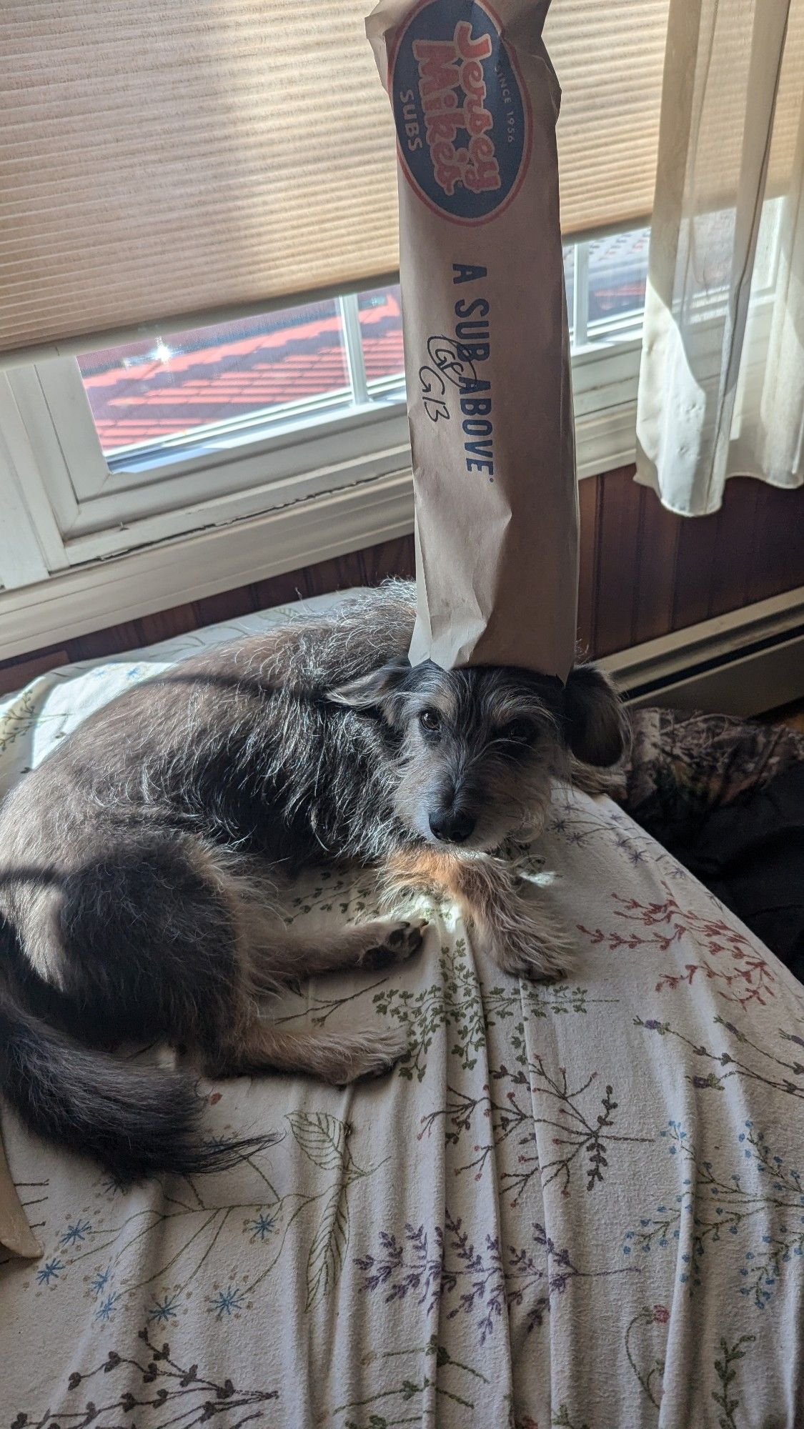 Chapter with a jersey Mike's bag on his head