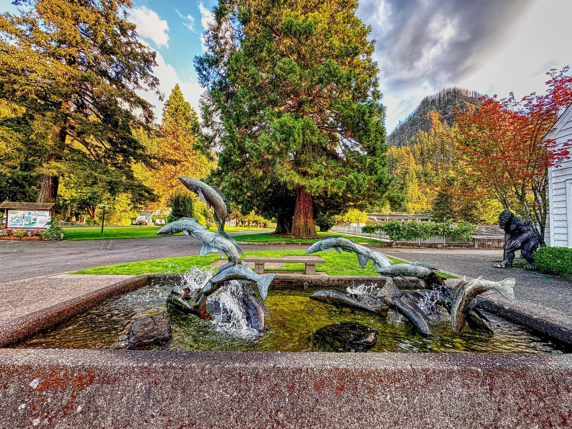 Picture of a Hatchery
With fish sculptures and green trees around.