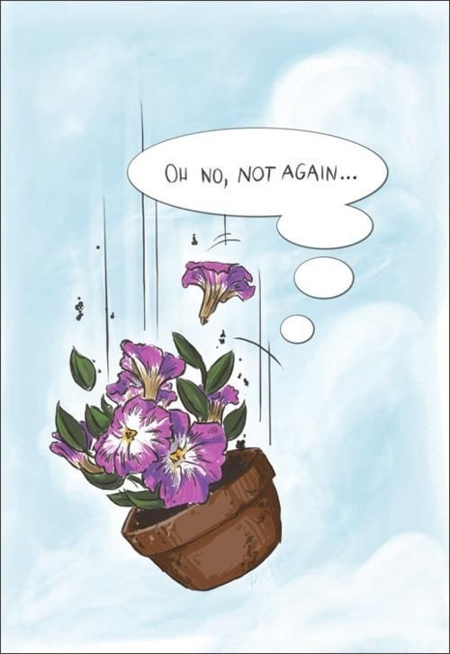 A cartoon of a bowl of petunias falling through the air, with a thought bubble caption "Oh no, not again..."