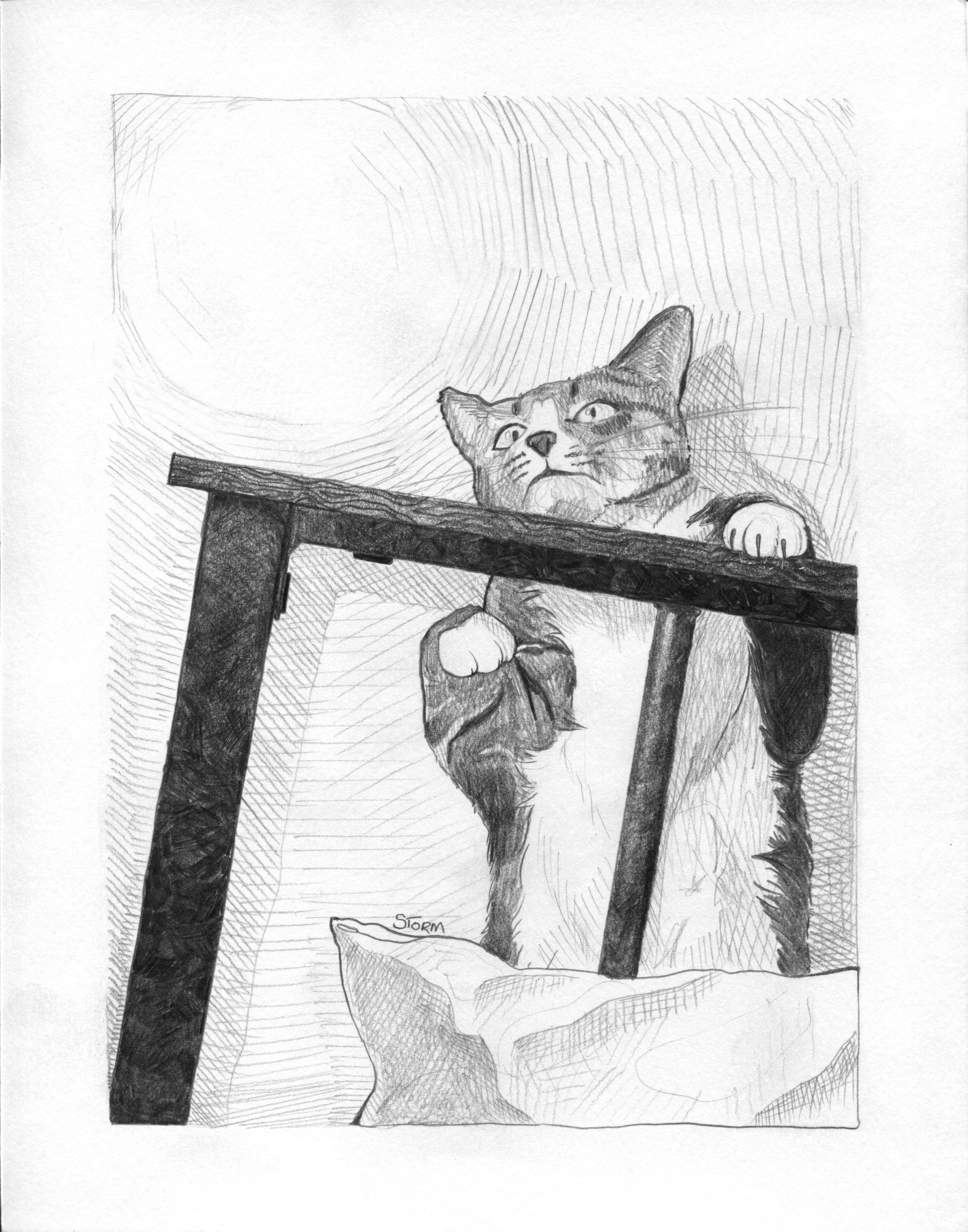 Pencil drawing (from photograph) of a pet cat falling off a bedframe.