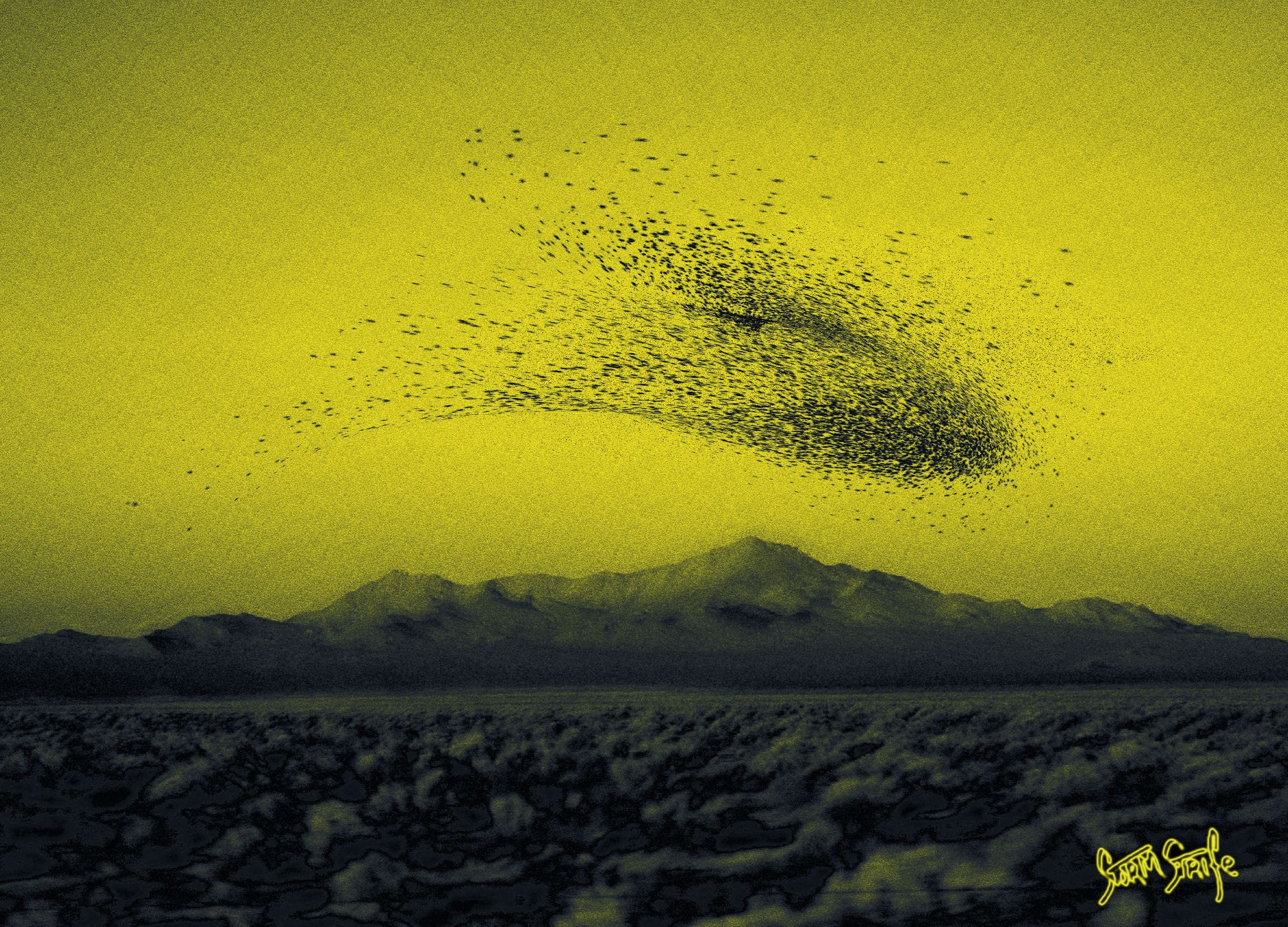 original art, a digitally manipulated photograph with painting. a high desert scene with a starling-type murmuration dealt in sickly green-yellow and dark greys.