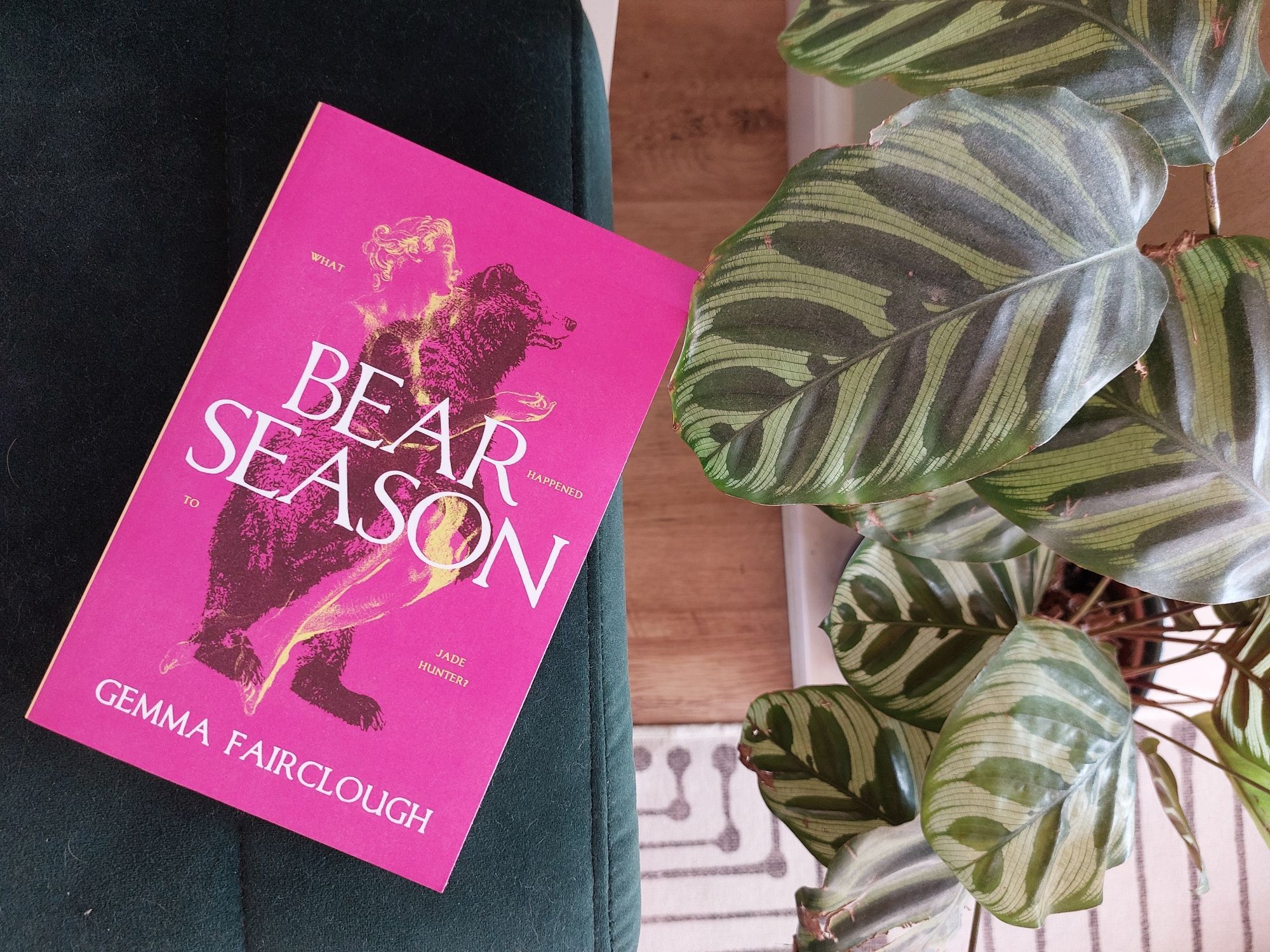 Bear Season by Gemma Fairclough