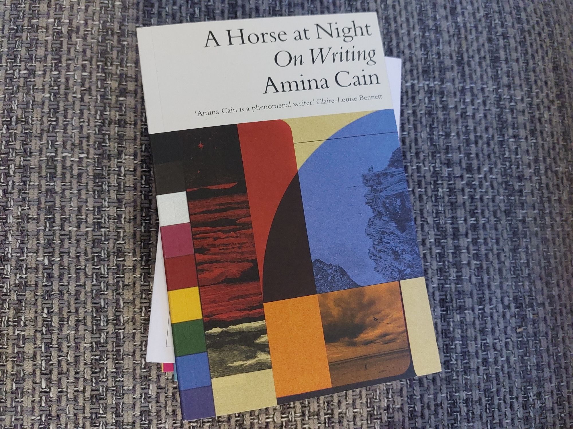 A Horse at Night On Writing by Amina Cain