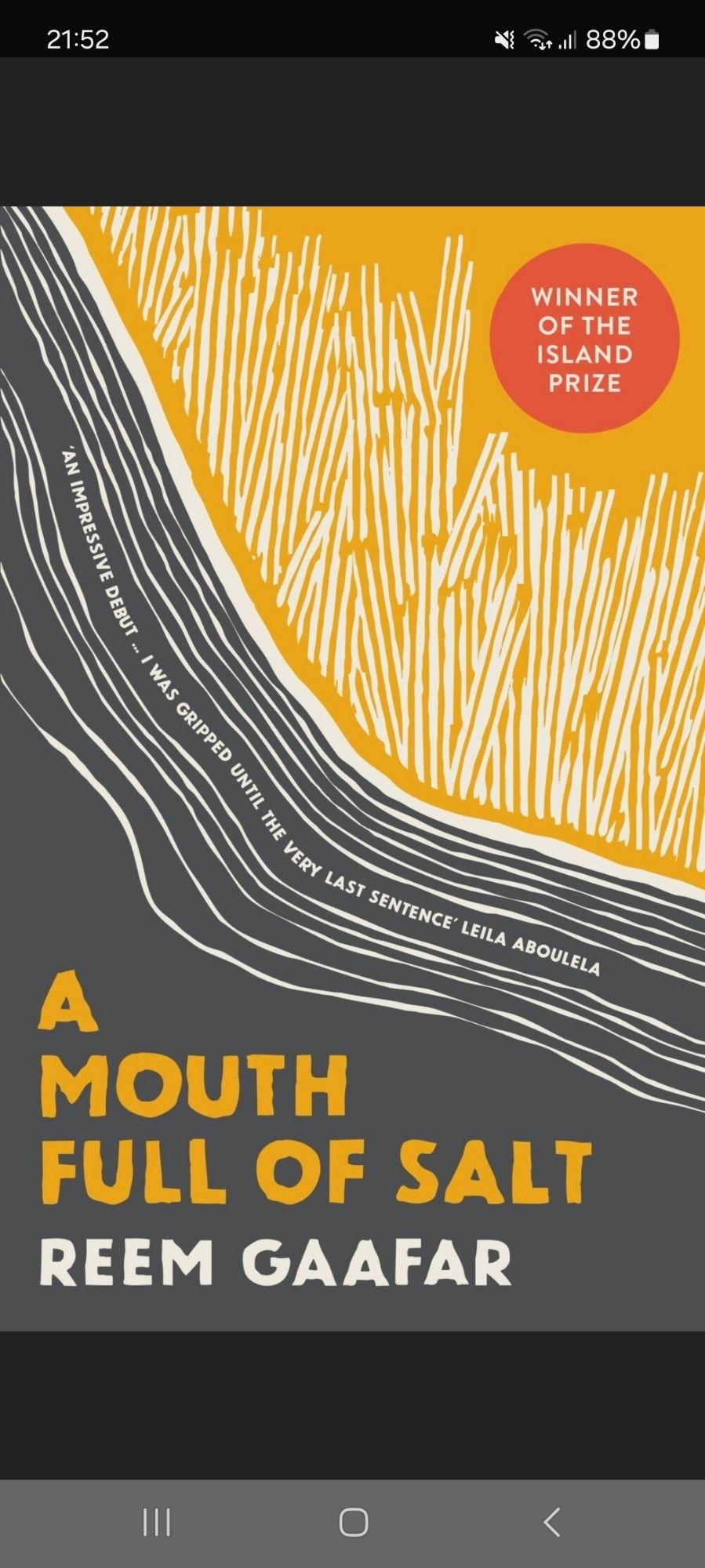 A Mouth Full of Salt by Reem Gaafar