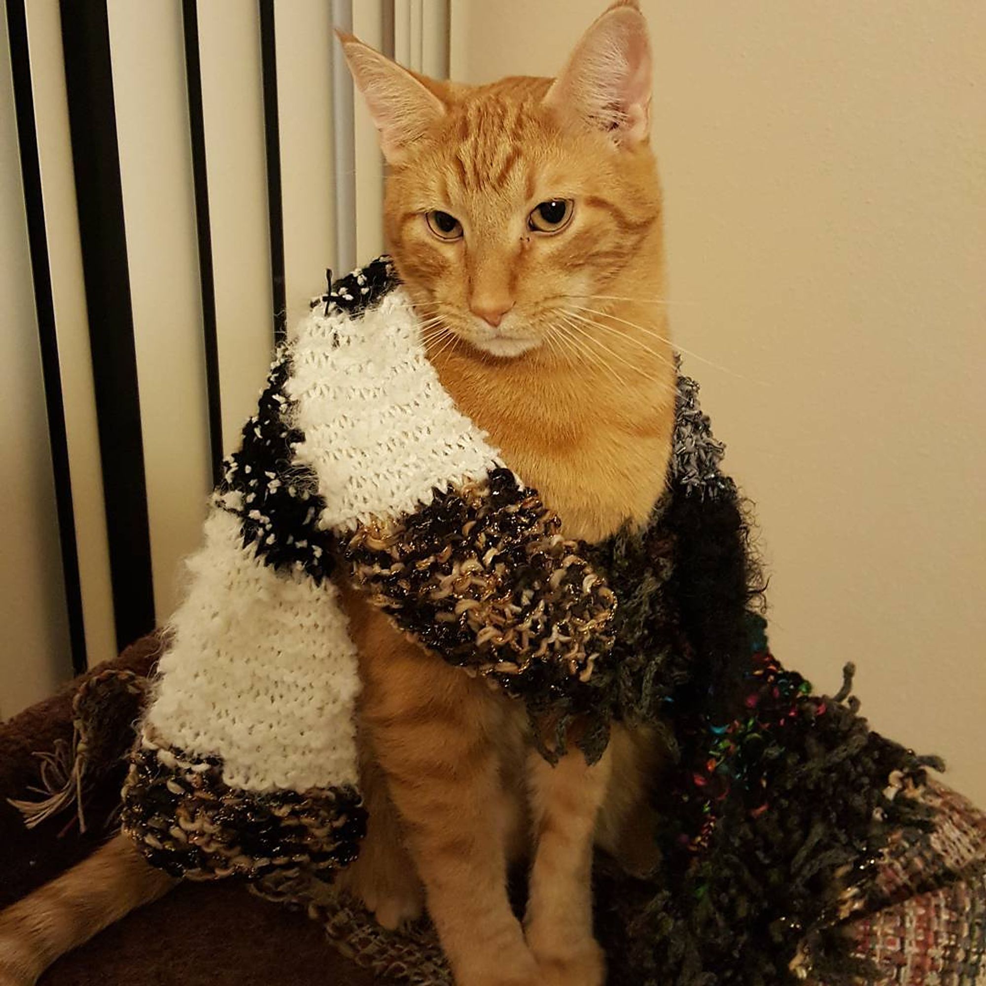 A ginger cat sits atop a cat tree, fabulously modeling a scarf draped over him. It is wildly textured ranging from a fuzzy white chunk to a black/ gold section to glimpses of black/ grey with rainbow flecks.