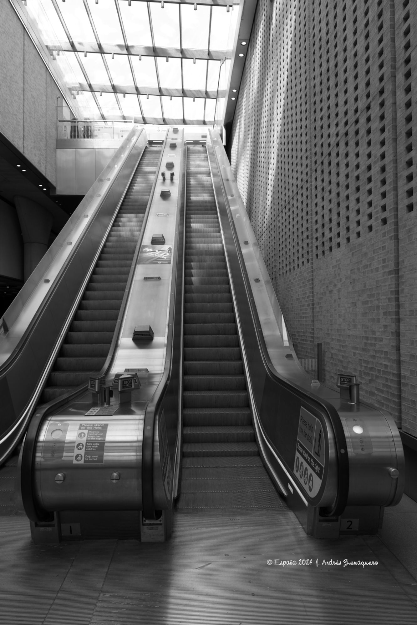 Imagen en blanco y negro de dos escaleras eléctricas juntas sin que aparezca alguien en ellas. Están iluminadas por luz natural gracias al techo mayoritariamente de cristal del lugar donde se encuentran.