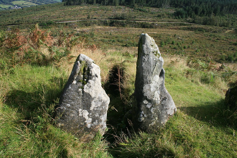 The two entrance stones of a badly damaged chambered tomb. Harvested plantationcan be see on the hillside below them.