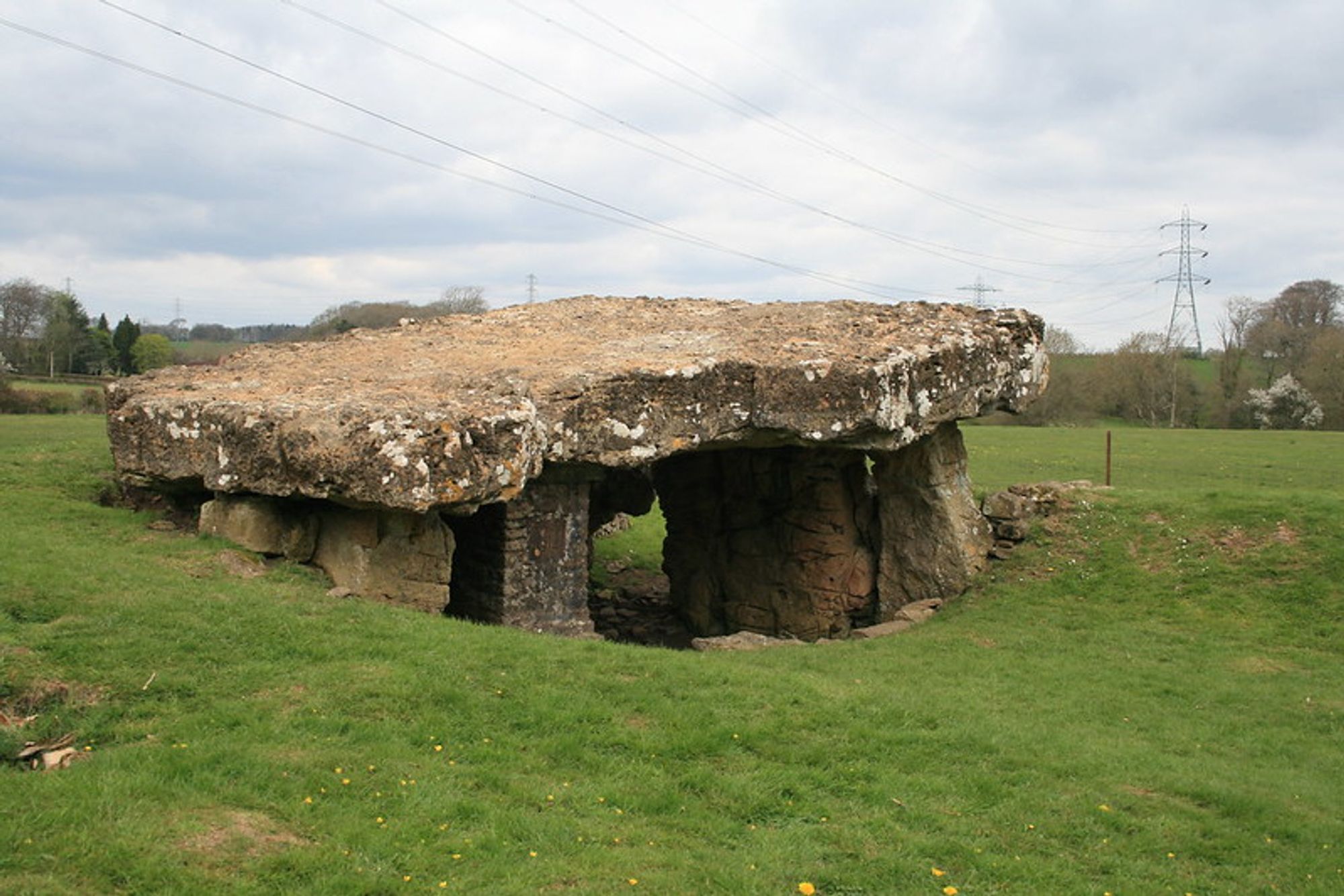 The massive capstone of Tinkinswood supported by orthostats. It's set in a grassy, uneven field with several pylons in the distance. The sky is grey, the pic was taken in early April so the distant trees are still leafless.