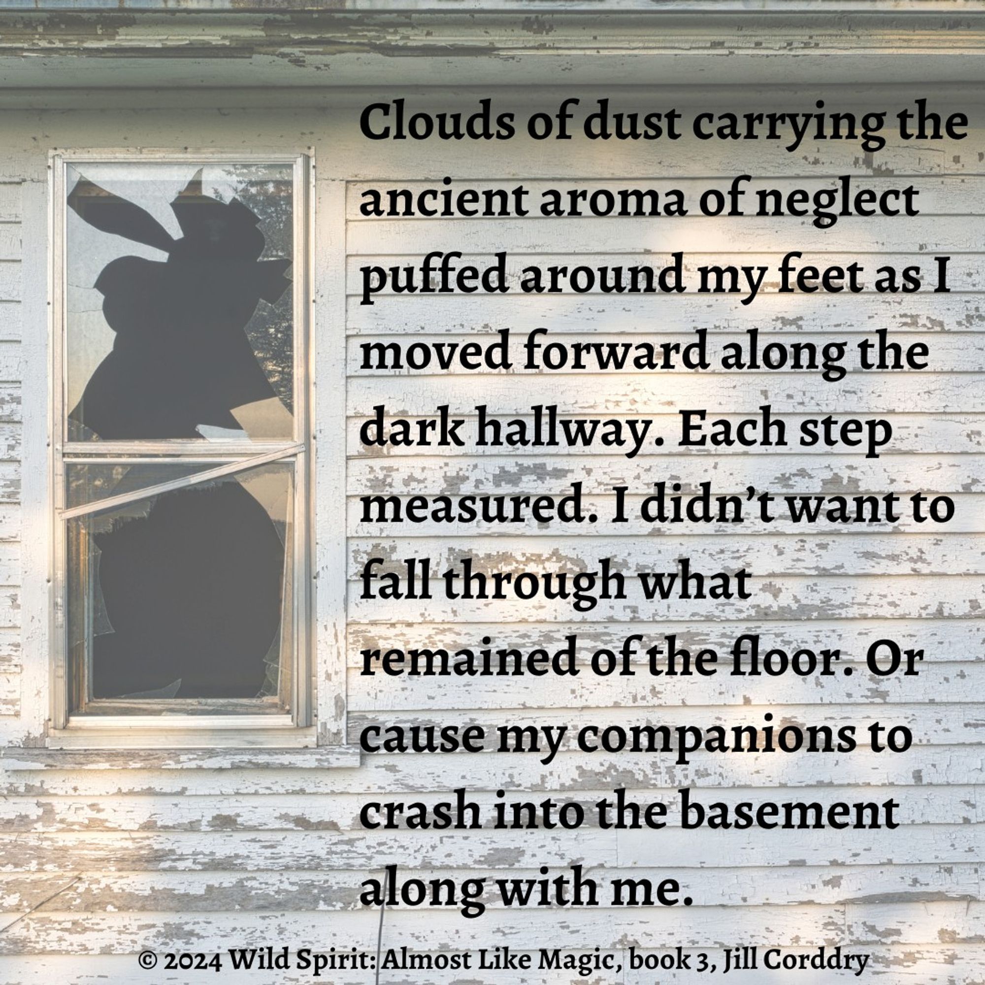 Image is a snippet from a book. The background is the outer wall of a house in serious disrepair. The faded white paint is peeling from the boards, and on the far left is a tall, broken window. In bold, black serif font, centered, but mostly to the right reads: Clouds of dust carrying the ancient aroma of neglect puffed around my feet as I moved forward along the dark hallway. Each step measured. I didn’t want to fall through what remained of the floor. Or cause my companions to crash into the basement along with me. Centered at the bottom in the same font reads: © 2024  Wild Spirit: Almost Like Magic, book 3, Jill Corddry