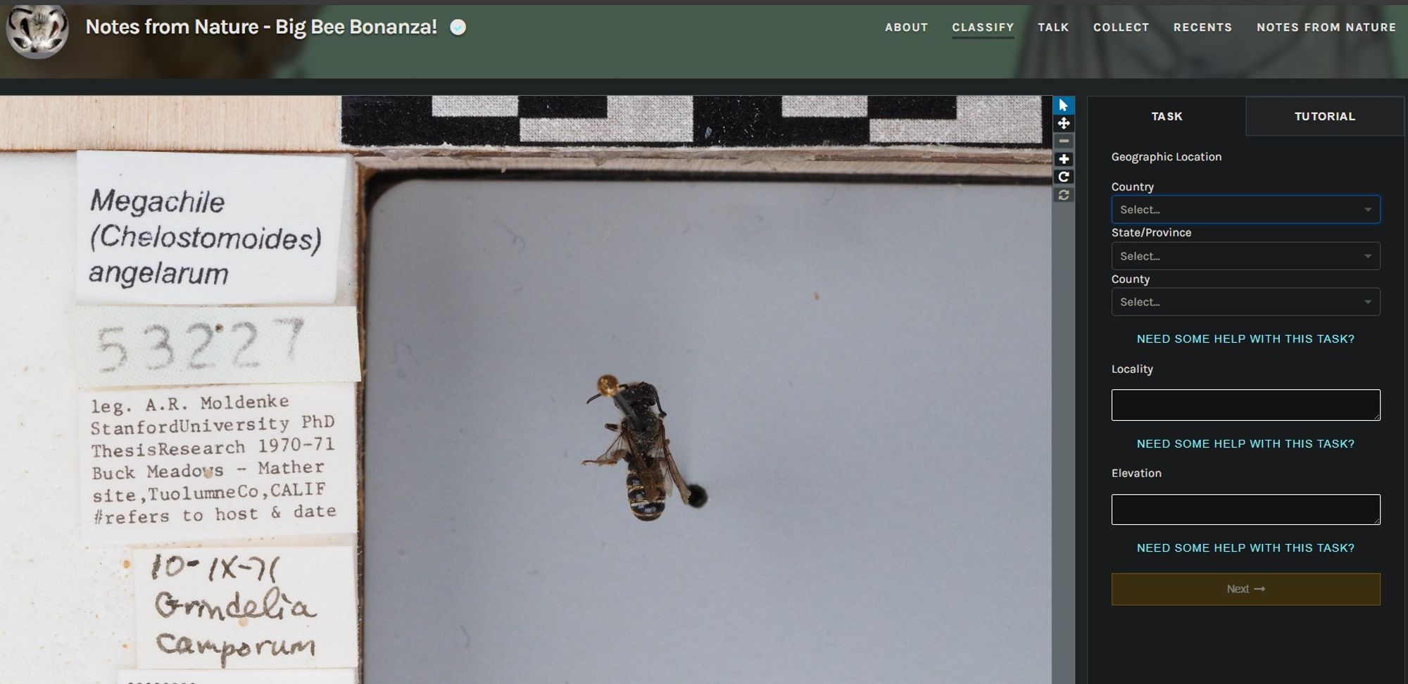 screenshot of a page with photo of a pinned bee with labels and boxes to fill in with the label information