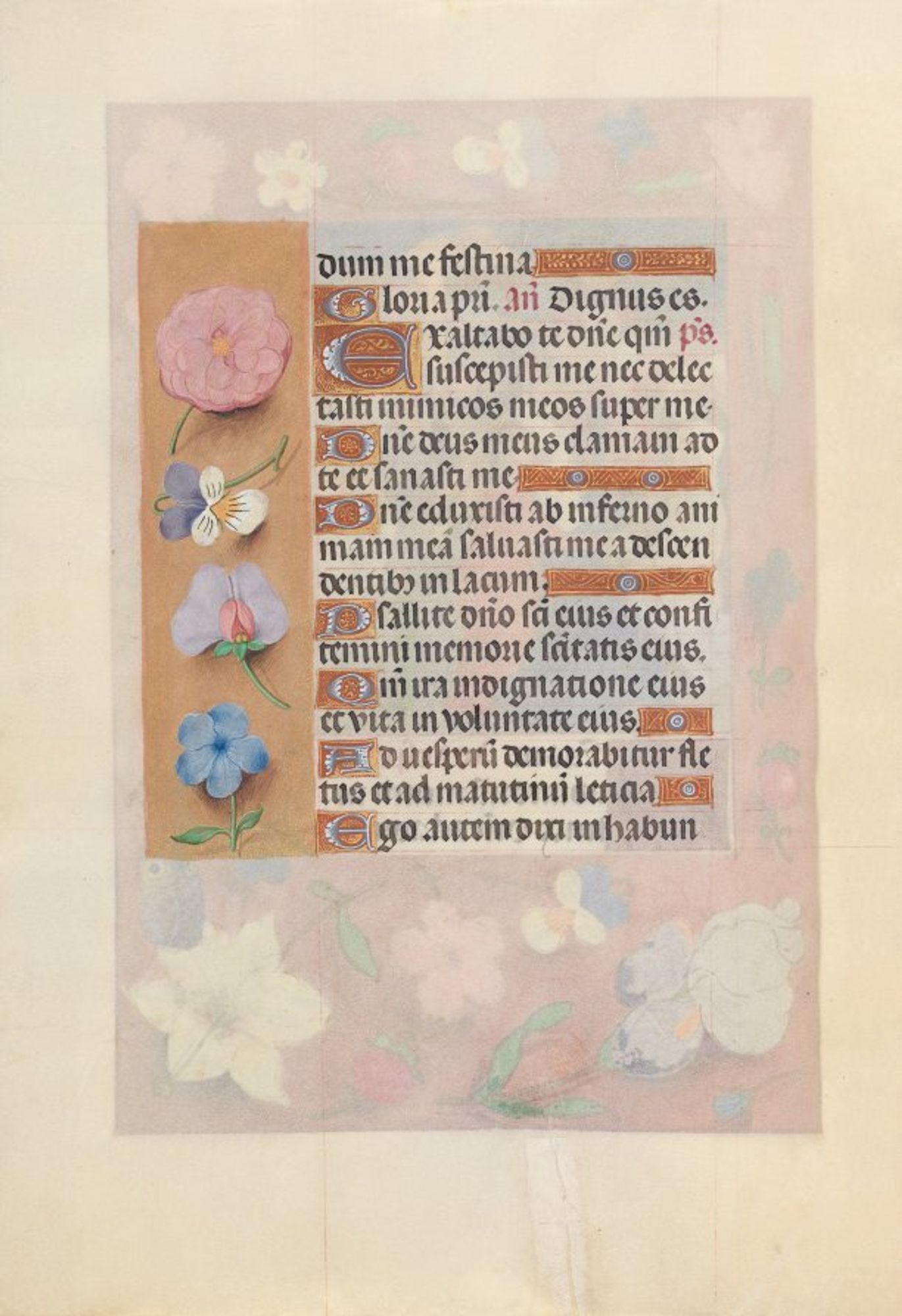 This manuscript was illuminated by a circle of at least five highly organized manuscript painters active in the Flemish cities of Ghent and Bruges. The principal illuminator was Alexander Bening, who painted the majority of the book's miniatures. Manuscripts produced by this circle of artists are renowned for the decoration of their borders, which typically feature a rich variety of realistically-painted flowers, birds, and butterflies. This prayer book, called a book of hours, was intended not for a cleric, but for the private devotions of a lay person-in this case, Isabella the Catholic, Queen of Spain (1451-1504). Isabella's coat of arms embellishes the book's frontispiece. It is unlikely that the book was commissioned by the Queen herself; rather, she probably received it as a diplomatic gift from someone courting her patronage, perhaps Cardinal Francisco Jimenez de Cisneros. A Franciscan friar, Jimenez was dependent upon Isabella for his advancement, first to the post of Queen's confessor in 1492, and then to Archbishop of Toledo in 1495.