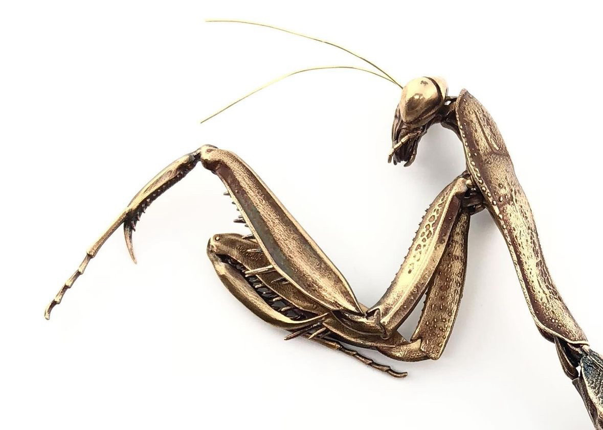 Bronze metal praying mantis looking left, shot from the waist up, her left foreleg extended to show her raptorial claw. 