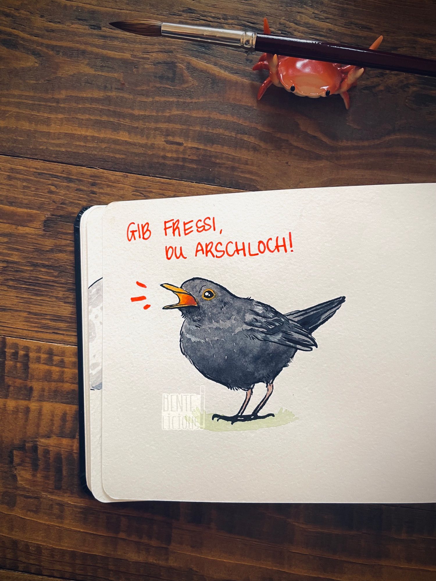 Aquarellzeichnung einer blökenden Amsel. Sie ruft: Gib Fressi, du Arschloch!