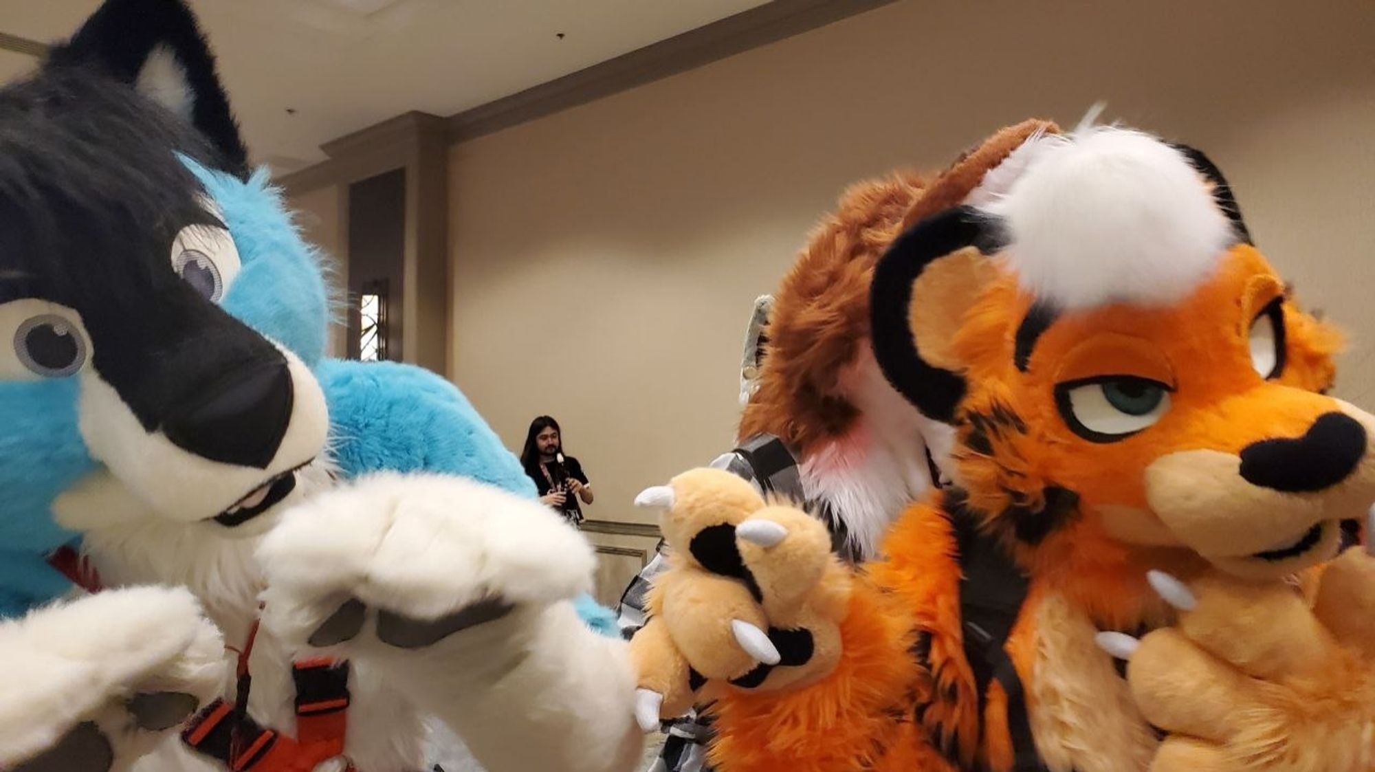 Varadime (blue wolf fursuiter) being pointed at by Slasp (Orange Tiger fursuiter) at TFF 2024