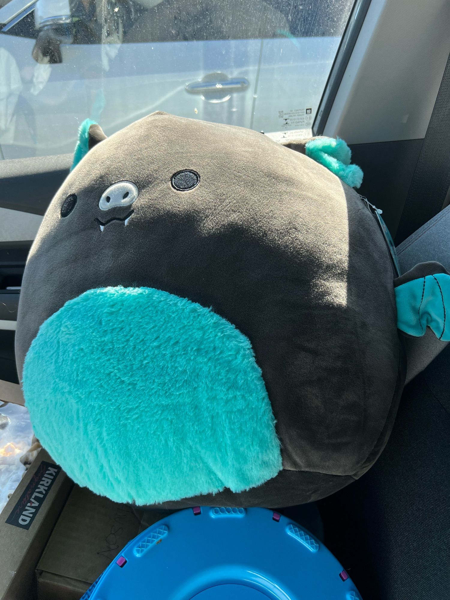 A photo of Aldous the squishmallow bat sitting in the front seat of my car. He is large and round and dark grey, with a teal belly, ears, and tiny wings.