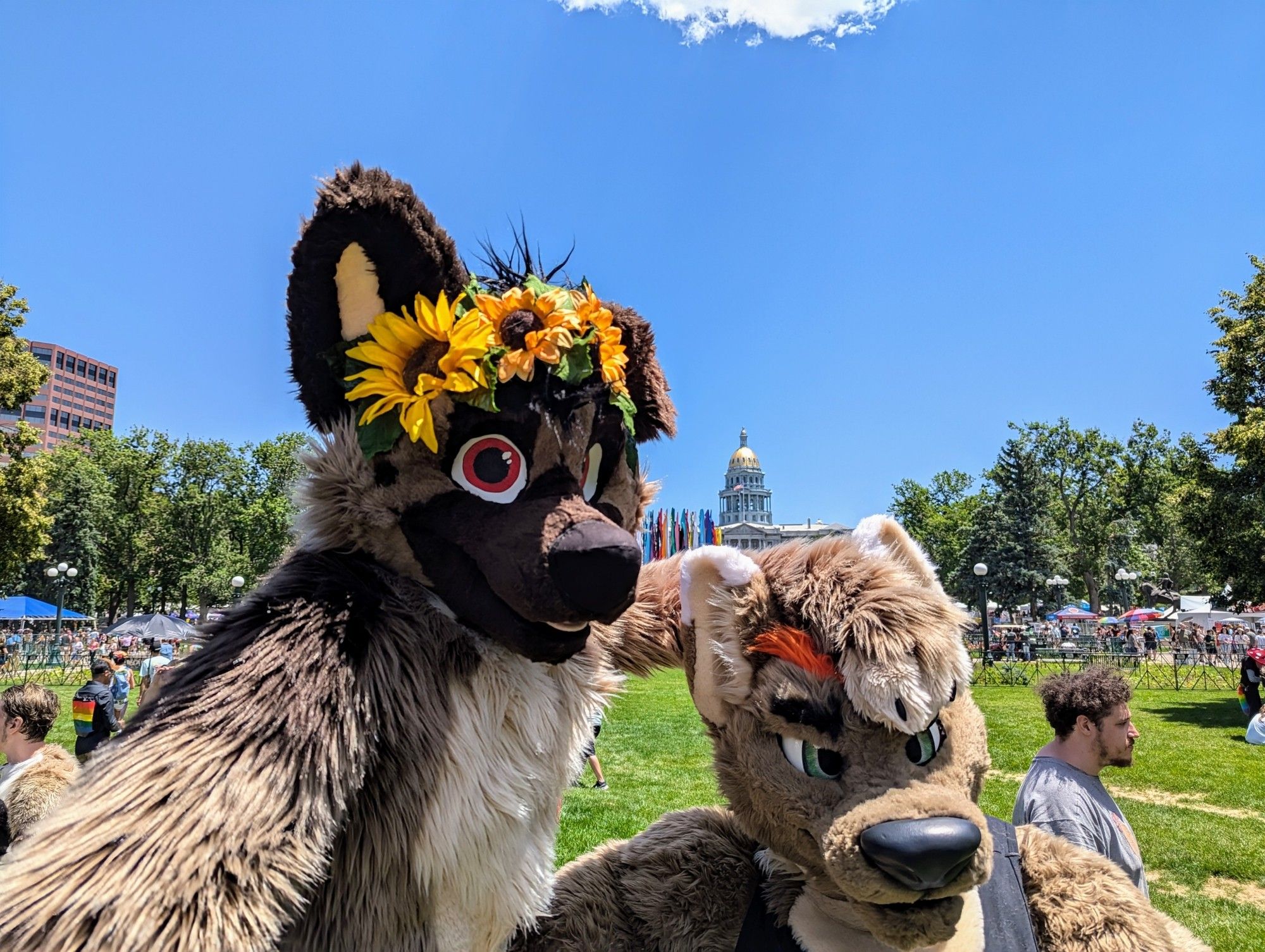 Cute German Shepard fursuit towering over a much smaller teeny tiny little itsy bitsy dog he's so small omg