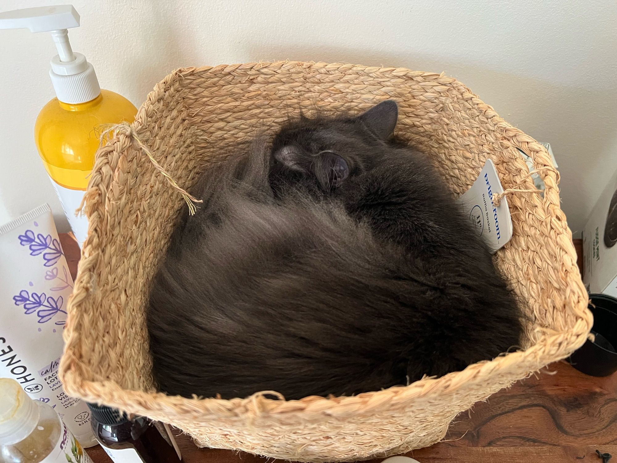 The same little cat, all curled up in a perfect circle, tail over nose, back to her happy doze on top of the baby’s washcloths and towels.