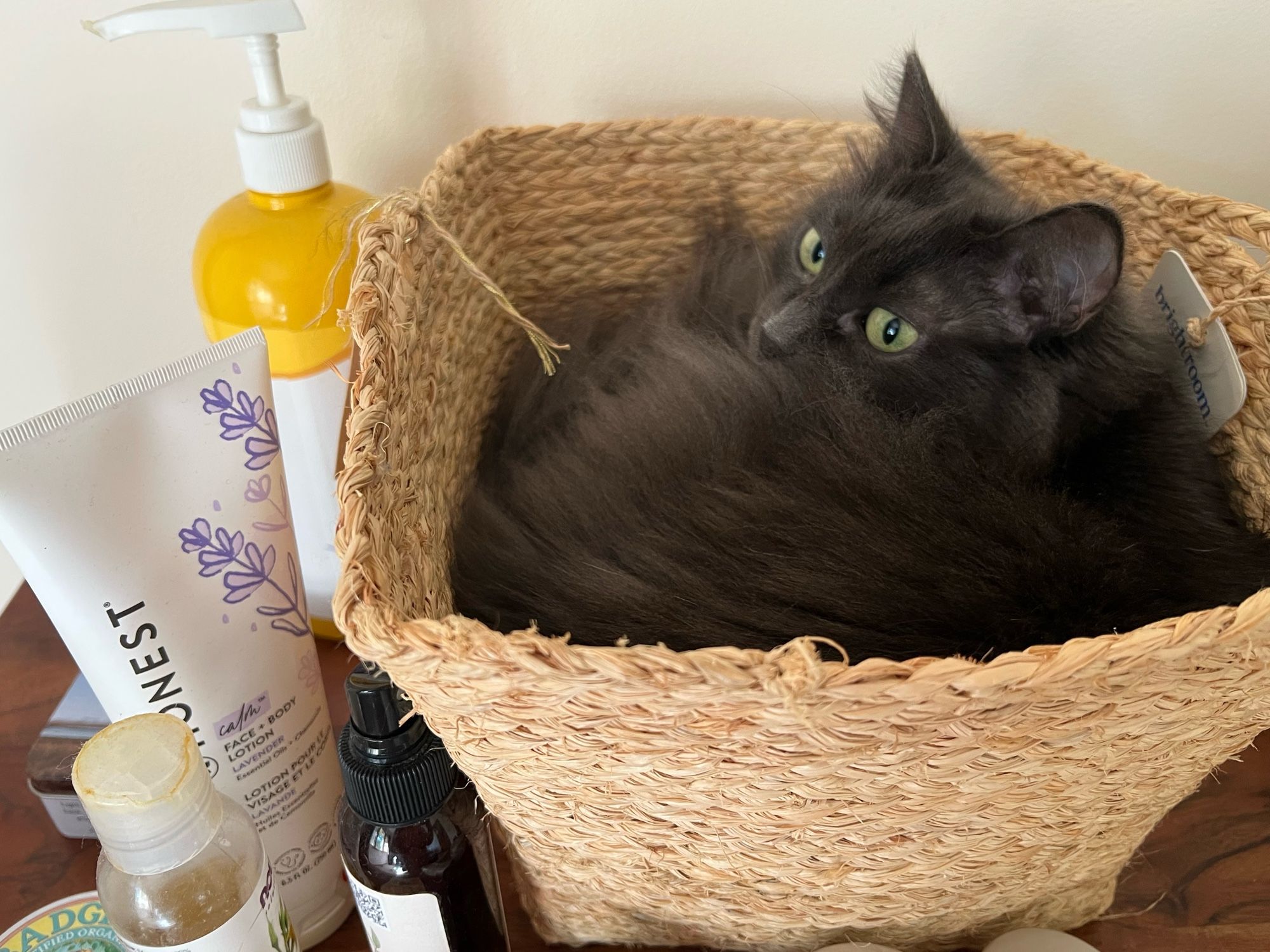 A little grey cat curled up in a small rattan basket on top of a dresser amongst some various lotions and unguents, with her head lifted up to look at me while I take her picture. She looks confused that I would find this at all remarkable.