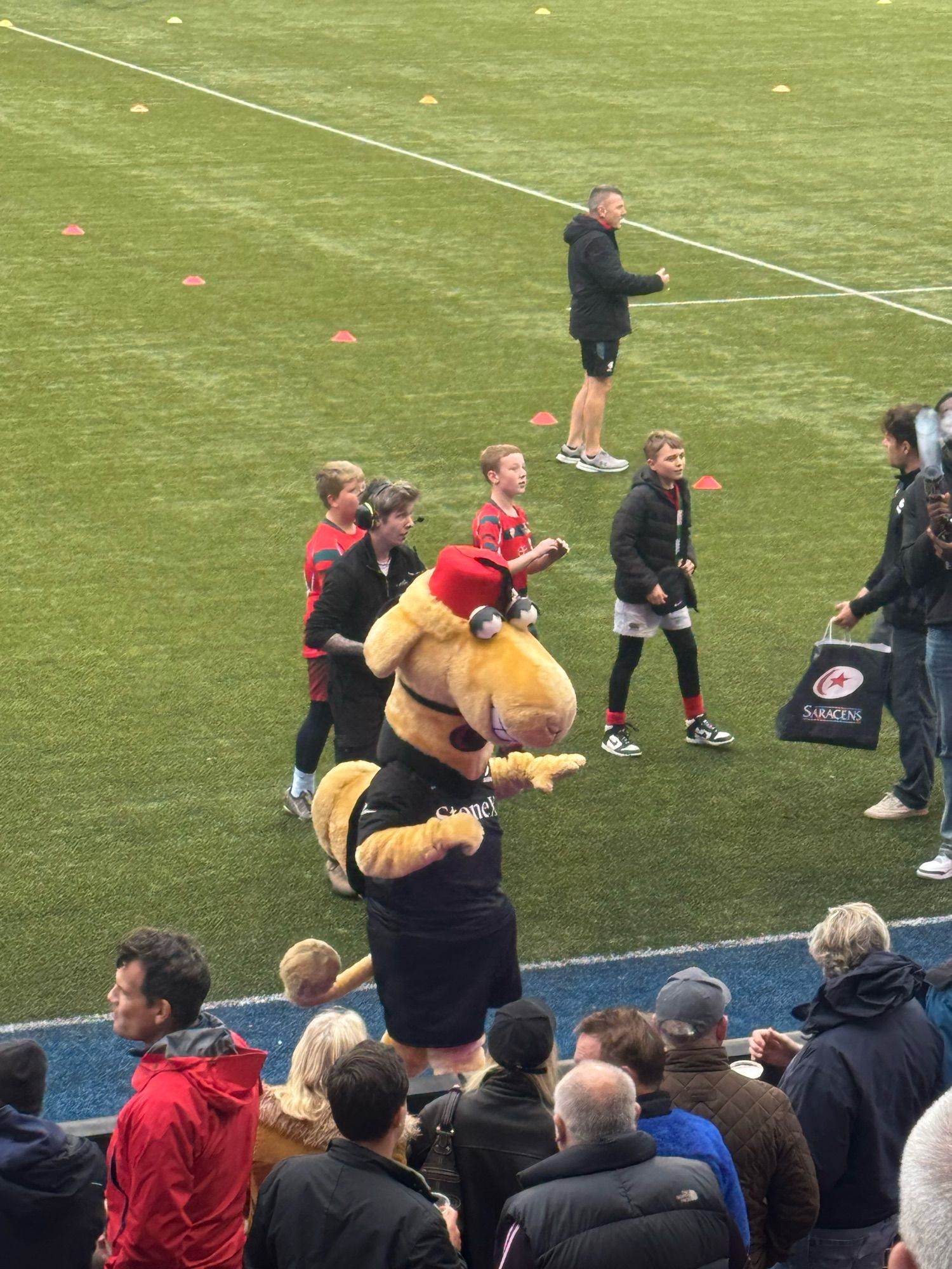 Saracens mascot Sarrie the Camel dancing beside the pitch at Saracens v Exeter Chiefs last Sunday.