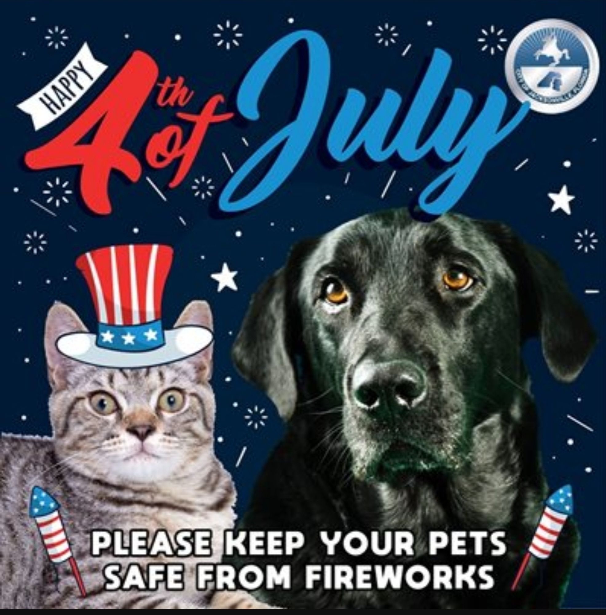 Happy 4th of July
Please keep your pets safe from fireworks

Grey savvy with a hat, and a black Labrador receiver.