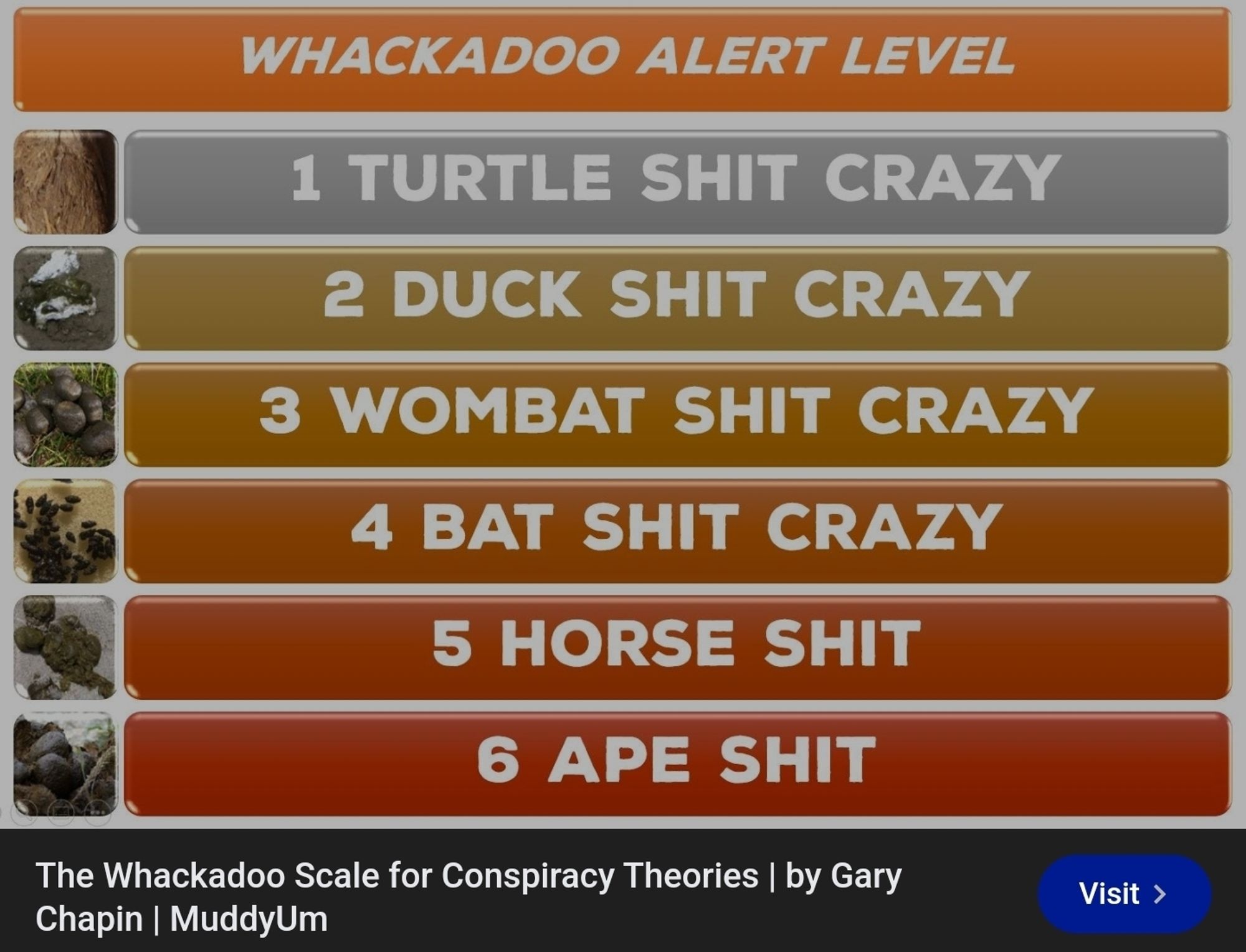 WHACKADOO ALERT LEVEL
1 TURTLE SHIT CRAZY
2 DUCK SHIT CRAZY
3 WOMBAT SHIT CRAZY
4 BAT SHIT CRAZY
5 HORSE SHIT
6 APE SHIT
The Whackadoo Scale for Conspiracy Theories | by Gary