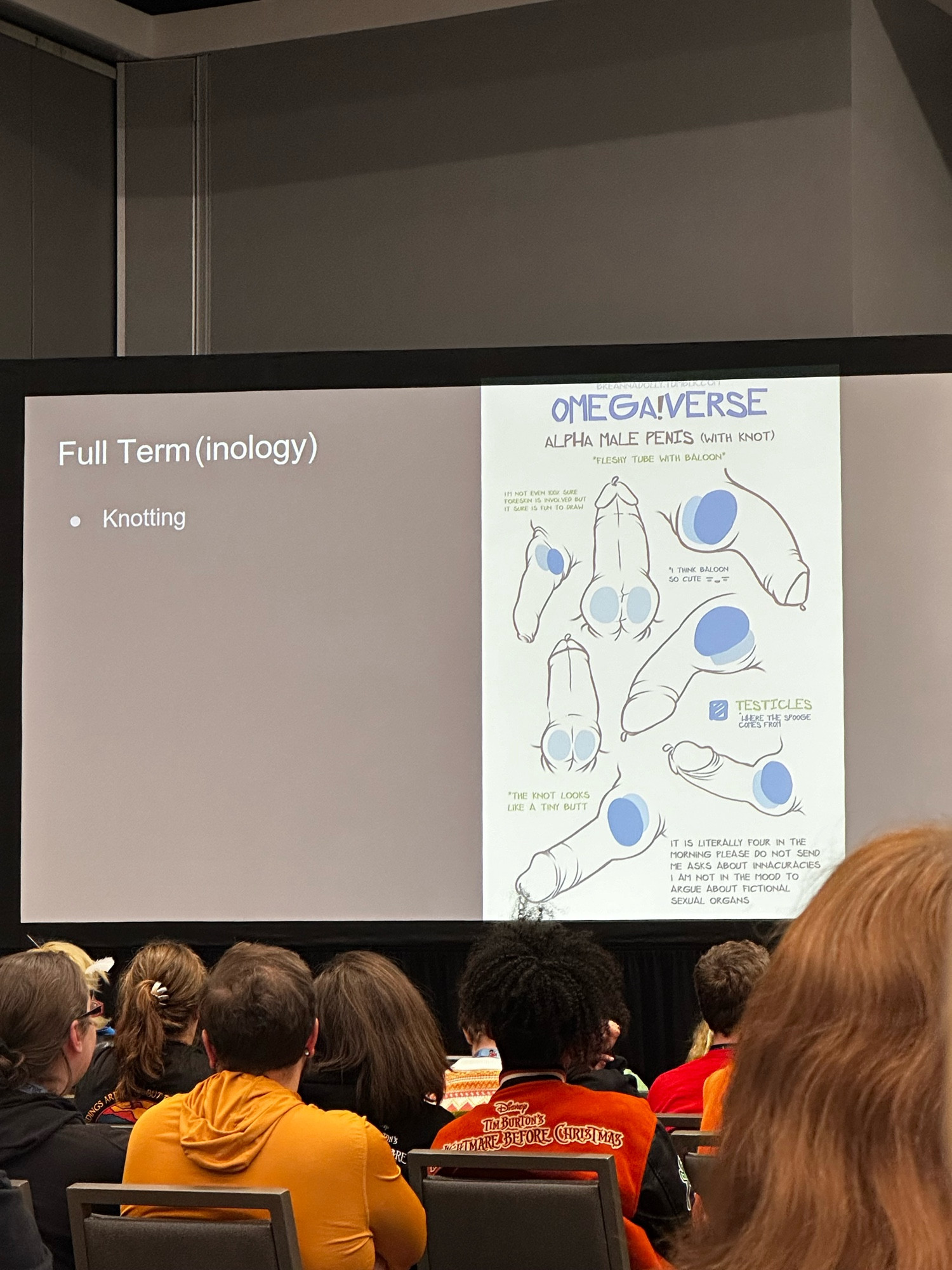 A room of people sitting in chairs and a projection reading "Full Term(inology)" underneath this text is a bullet point reading "Knotting". On the right side of the projection is a diagram reading "Omegaverse, Alpha Male Penis" with several illustrations of said anatomy.  