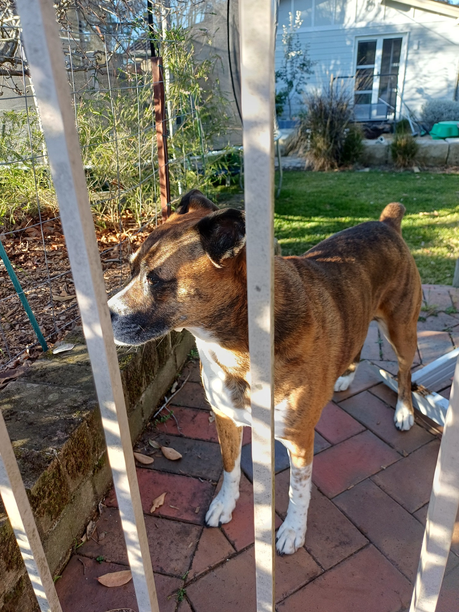 Keiko watches Bernie leave in a hurry through the gate.